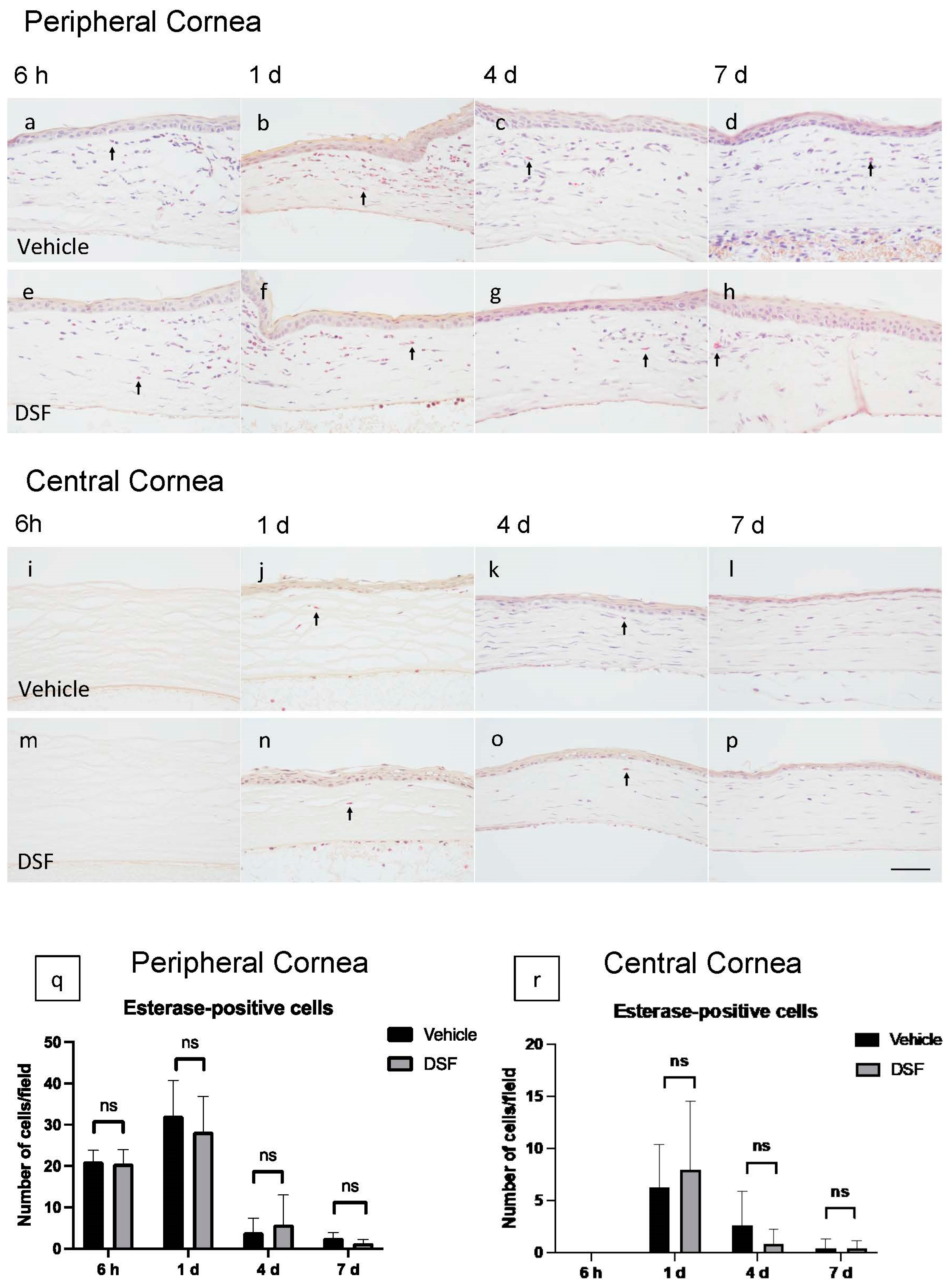 Ijms 24 00735 g003 Ijms 24 00735 g003