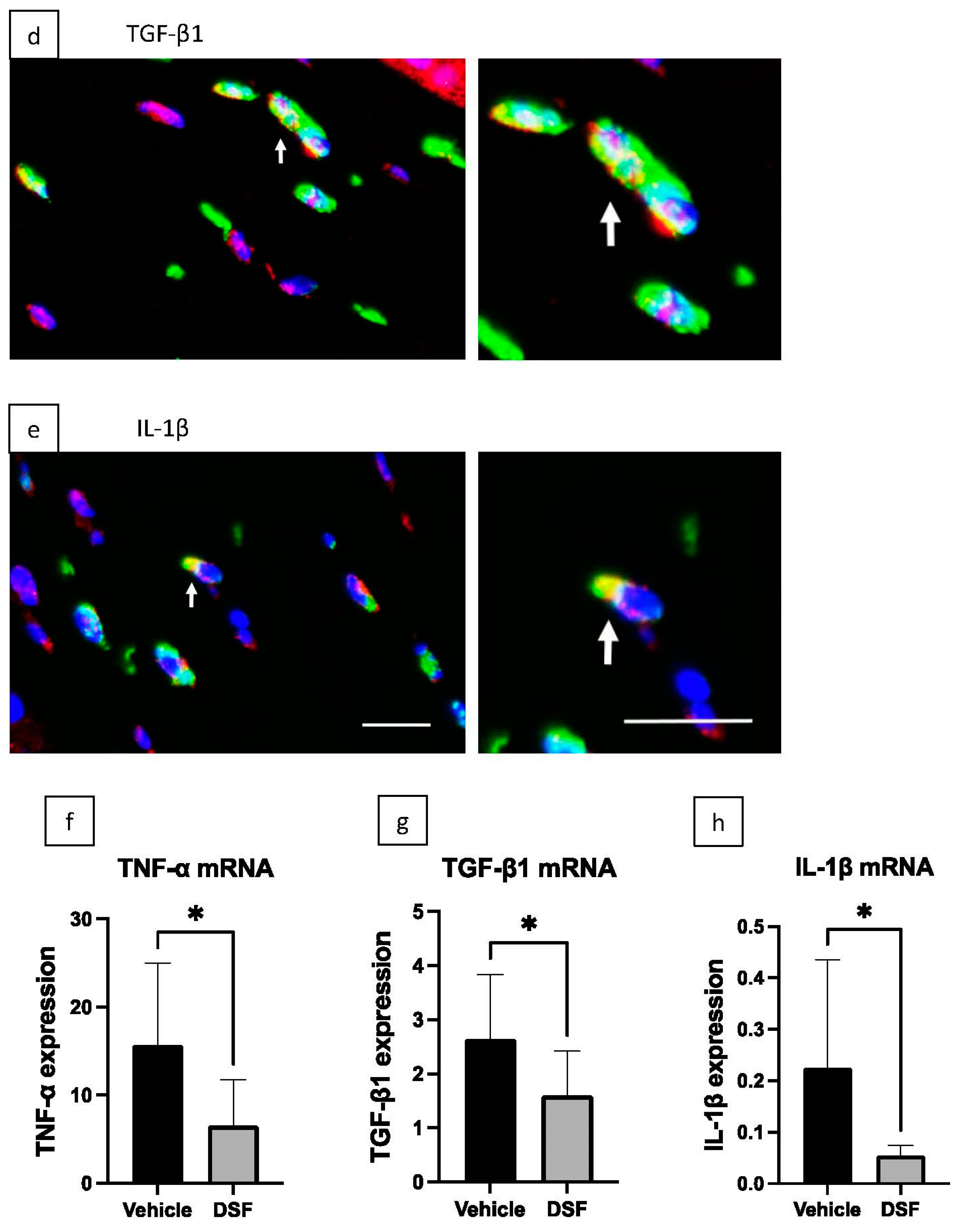 Ijms 24 00735 g004b Ijms 24 00735 g004b