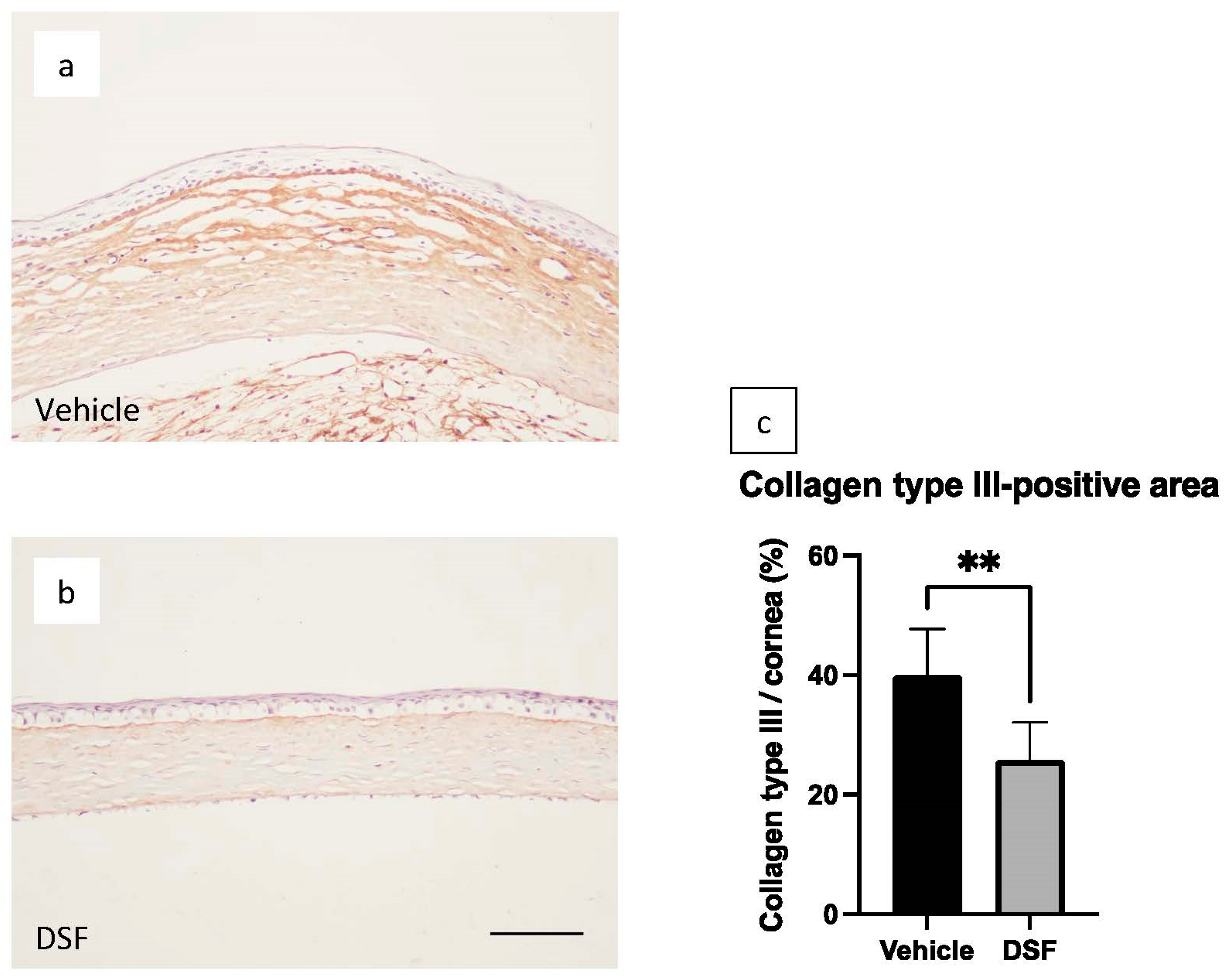 Ijms 24 00735 g005 Ijms 24 00735 g005