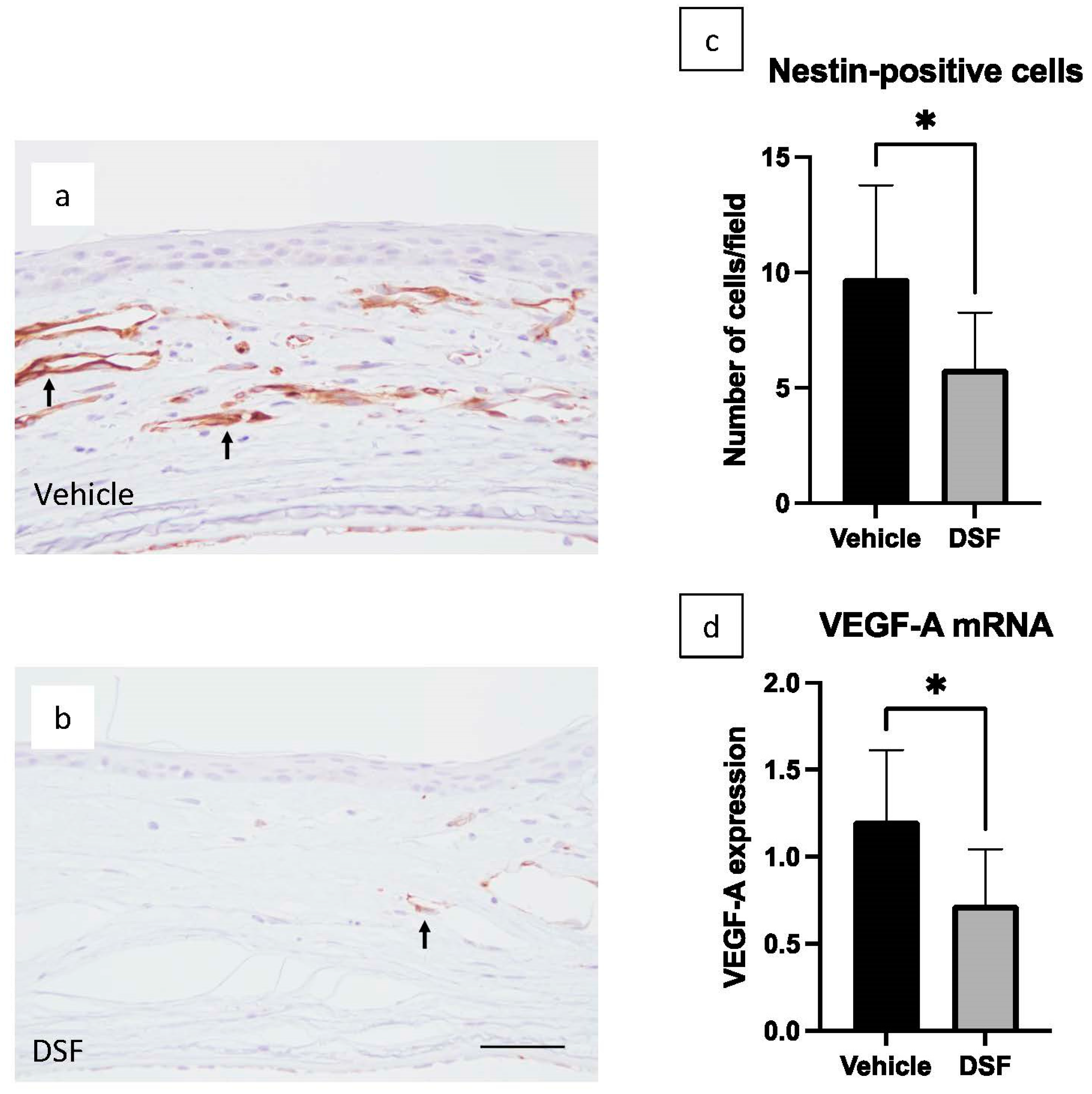 Ijms 24 00735 g006 Ijms 24 00735 g006