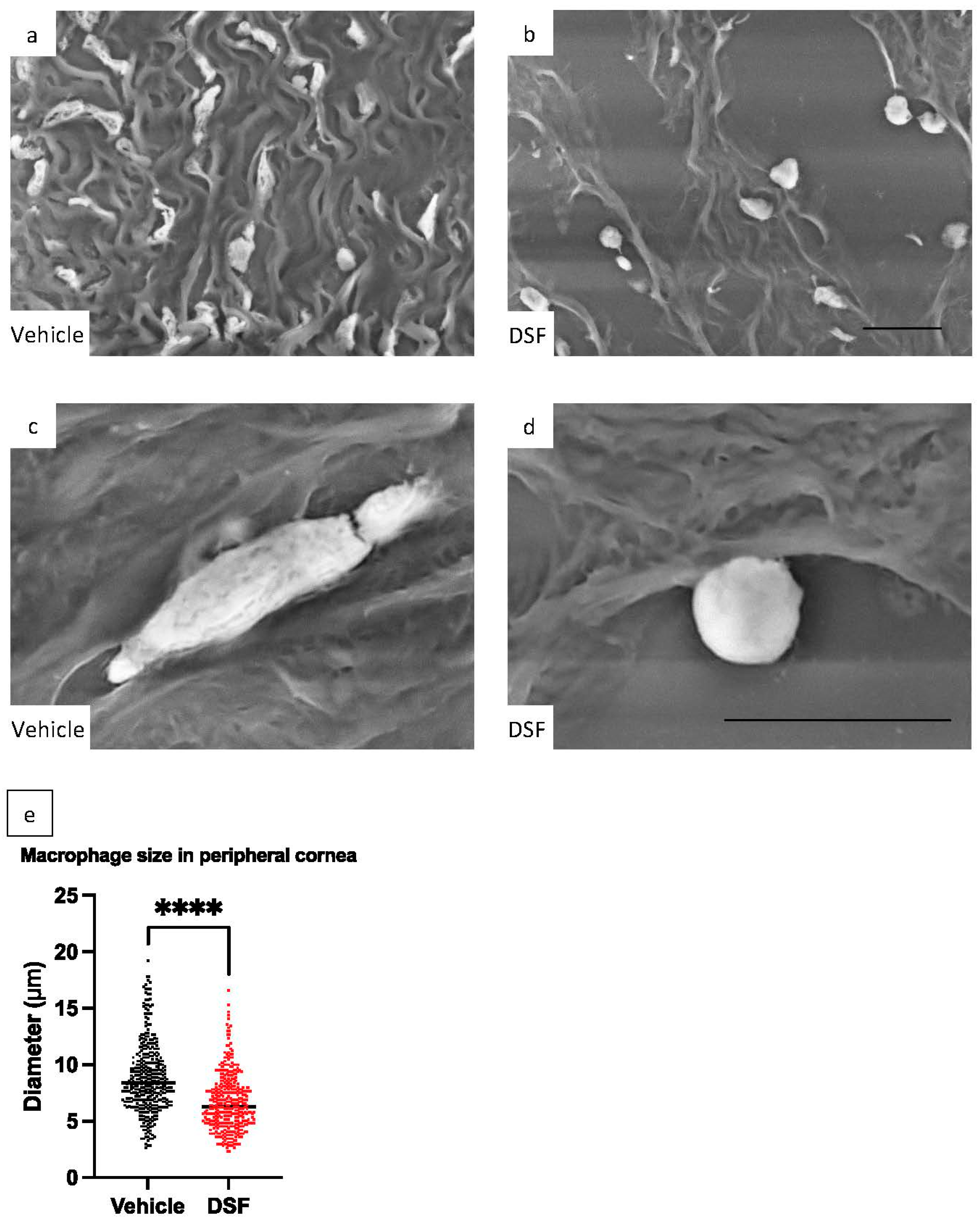Ijms 24 00735 g007 Ijms 24 00735 g007