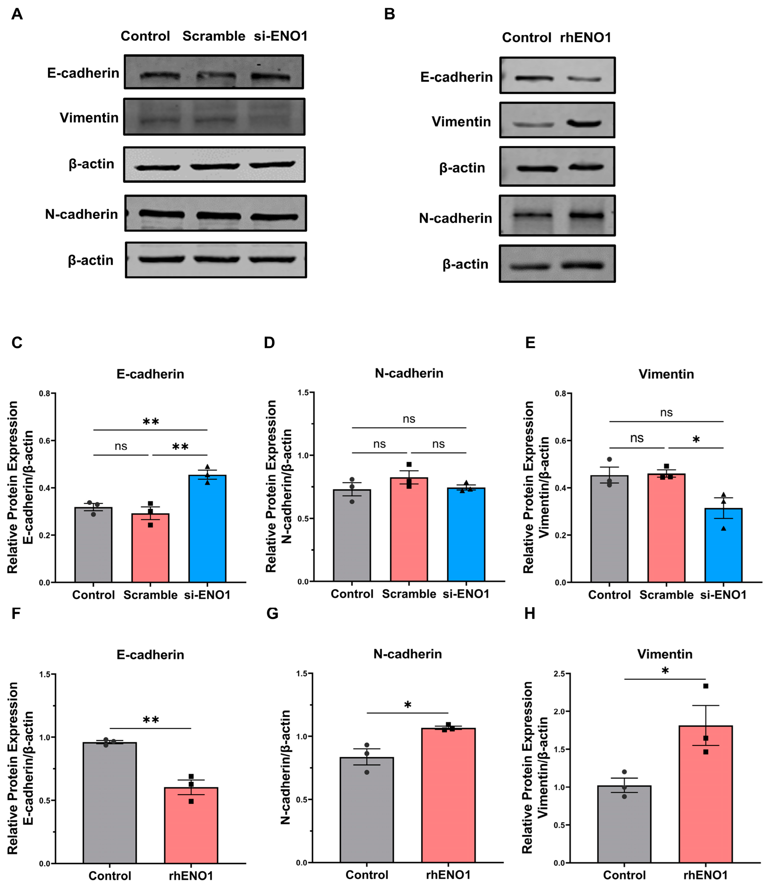 Ijms 24 00737 g003 Ijms 24 00737 g003