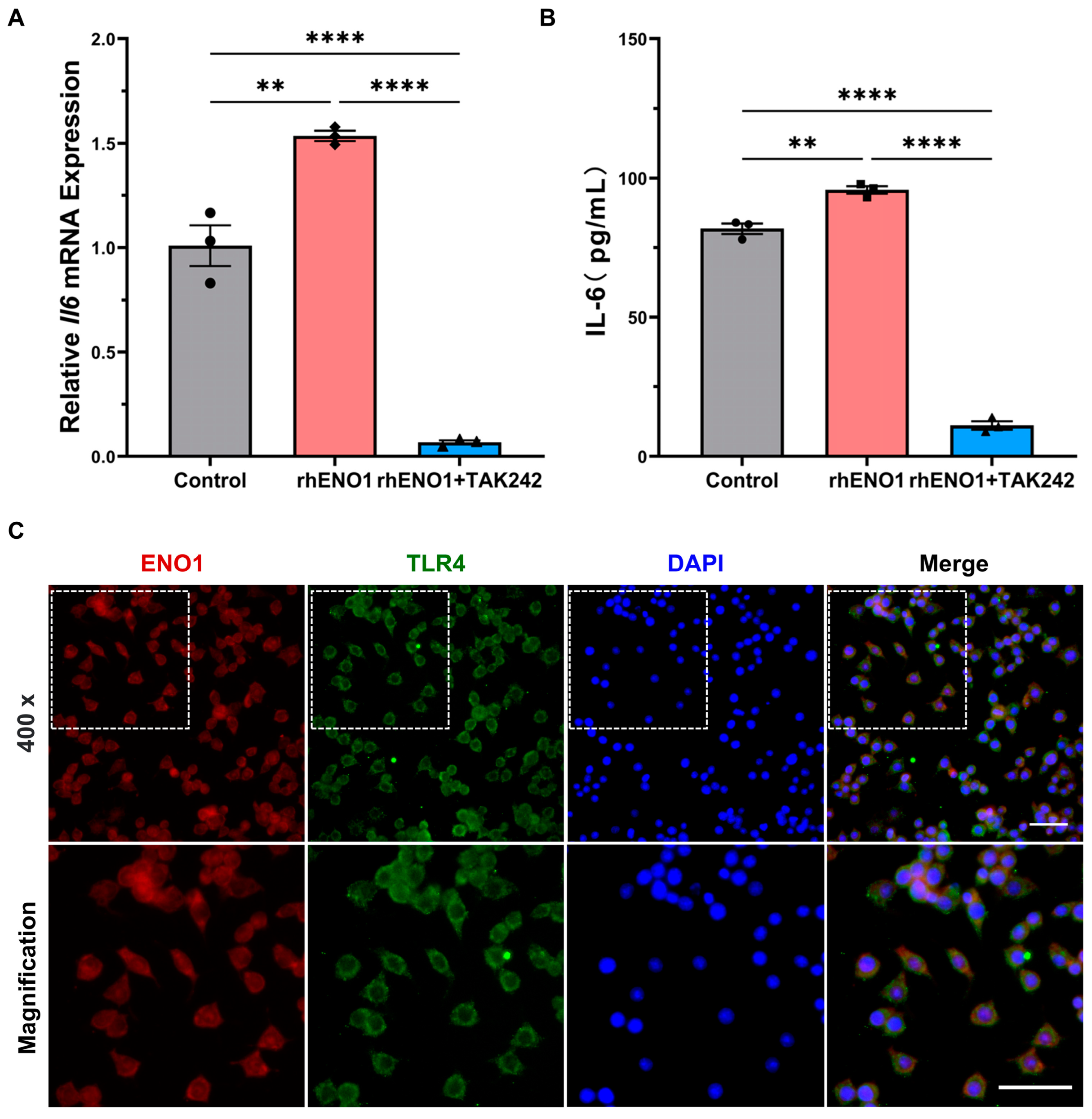 Ijms 24 00737 g006 Ijms 24 00737 g006
