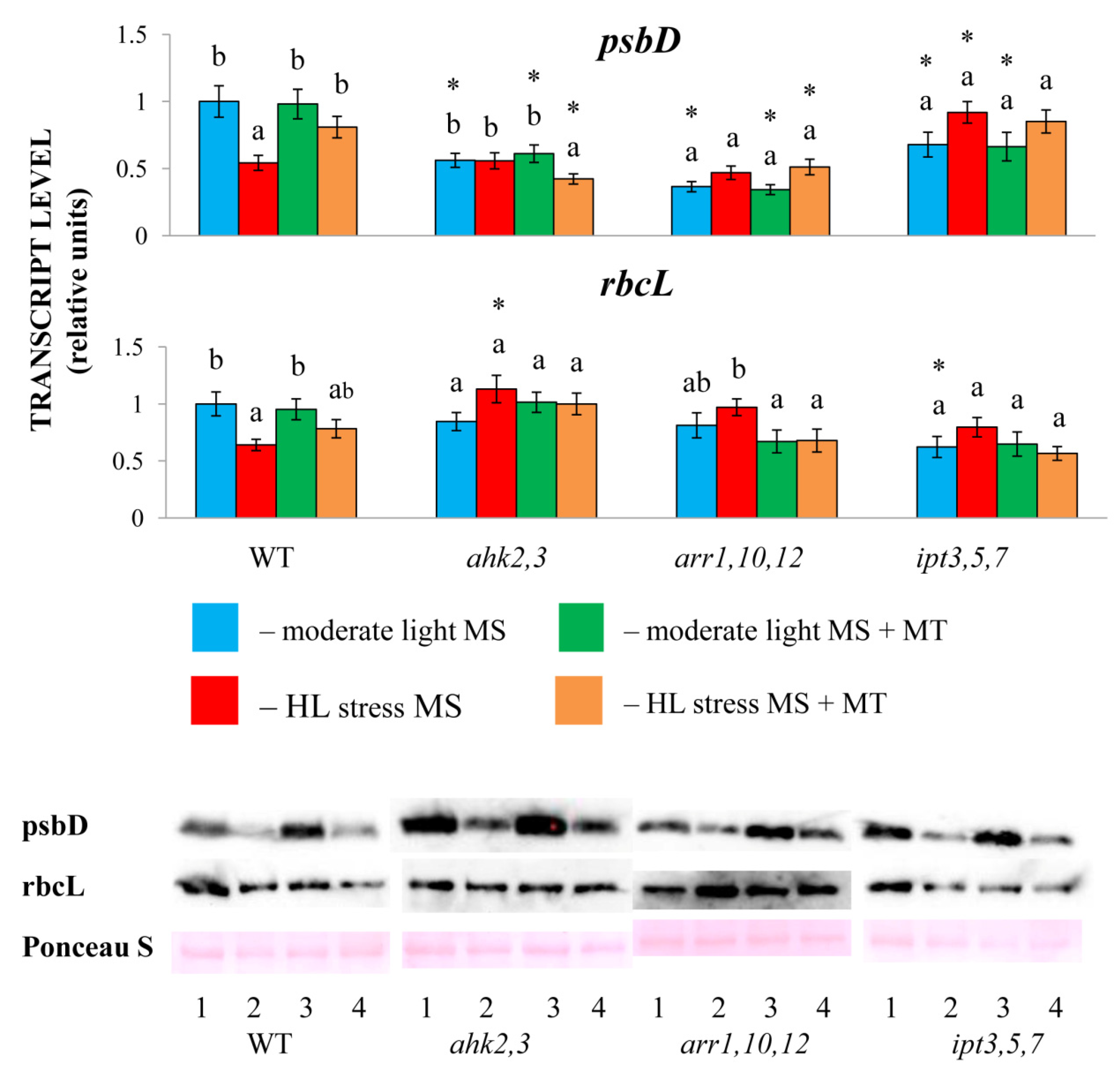 Ijms 24 00738 g002 Ijms 24 00738 g002