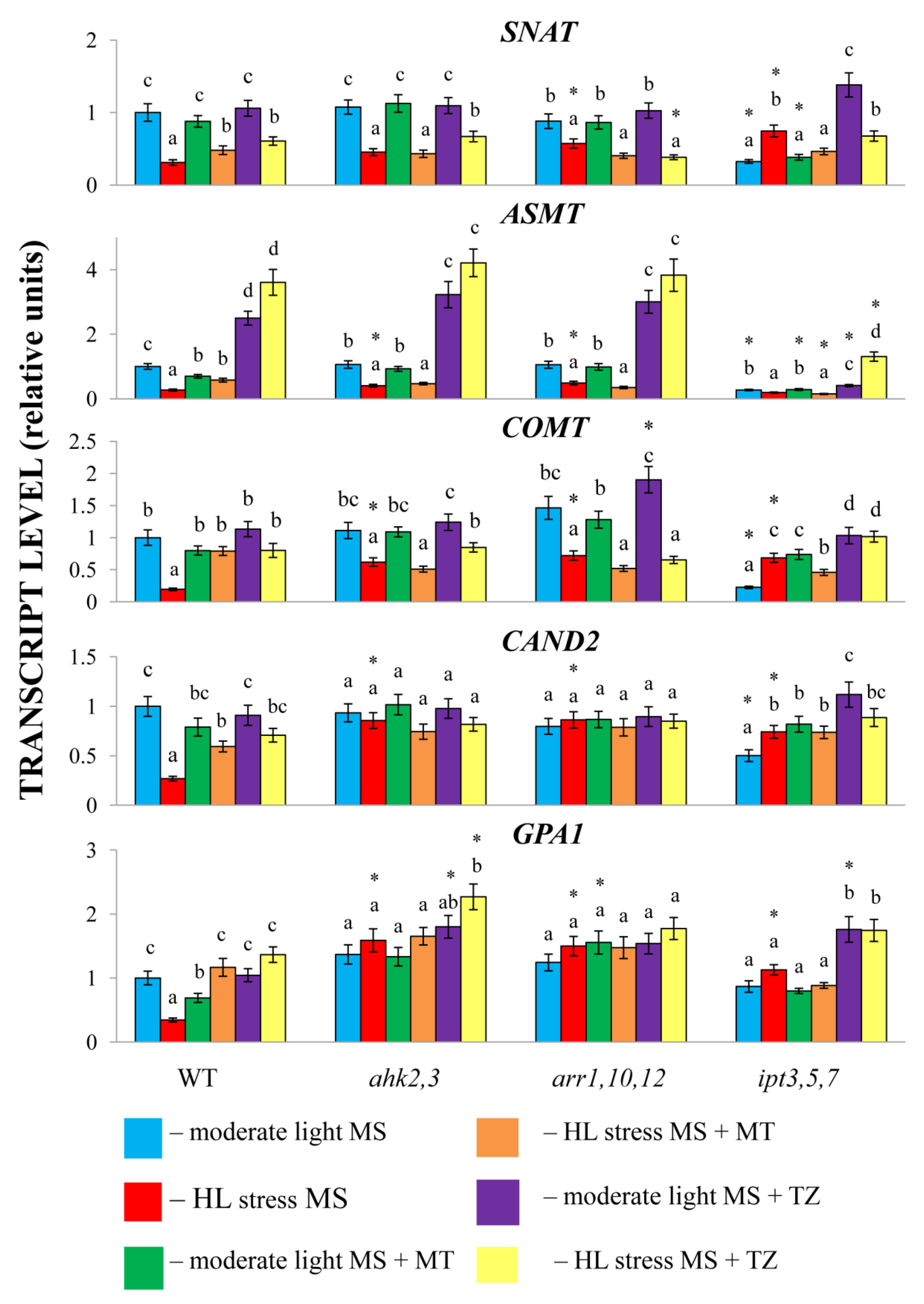 Ijms 24 00738 g004 Ijms 24 00738 g004