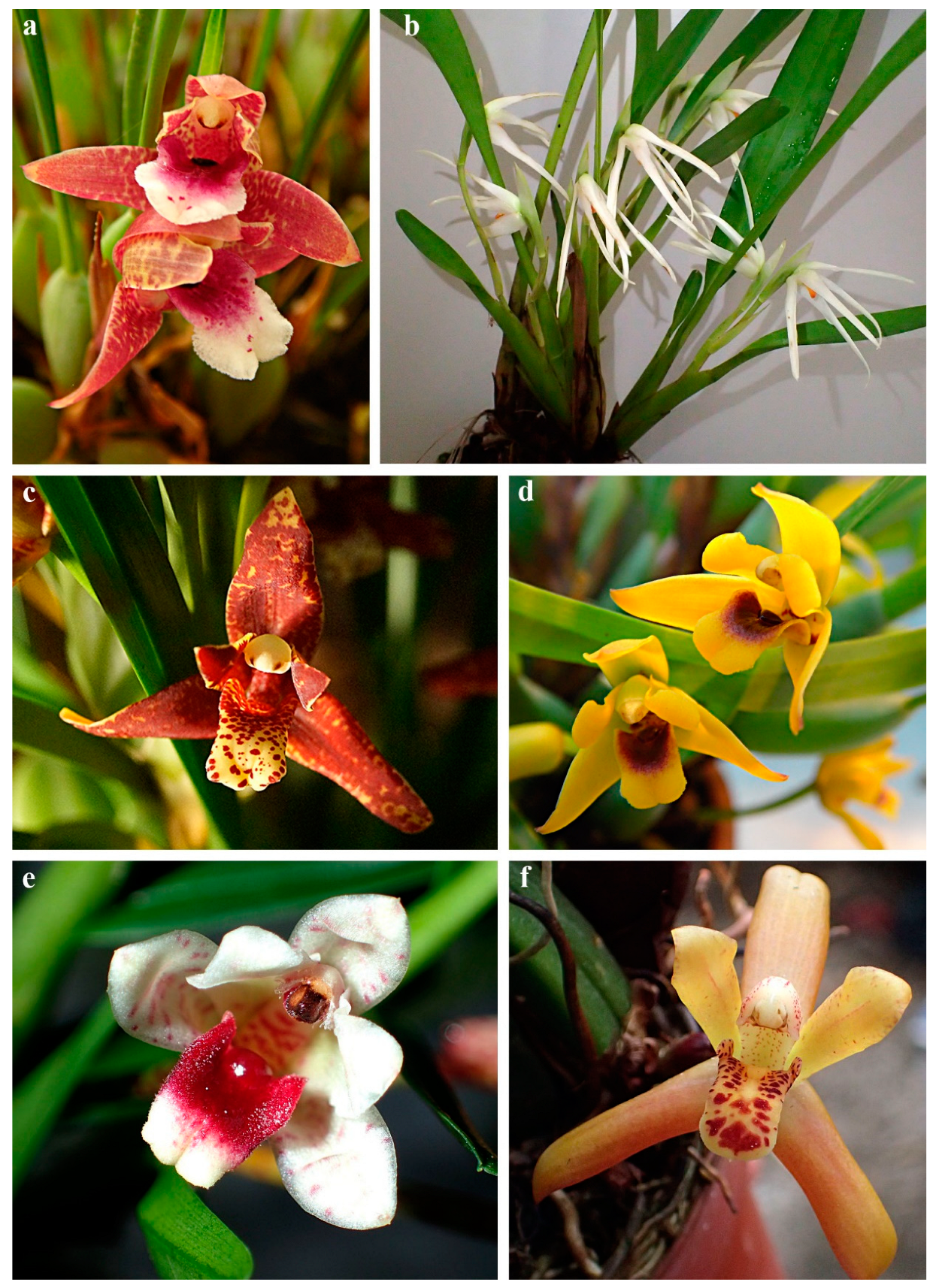 Ijms 24 00739 g003 Ijms 24 00739 g003