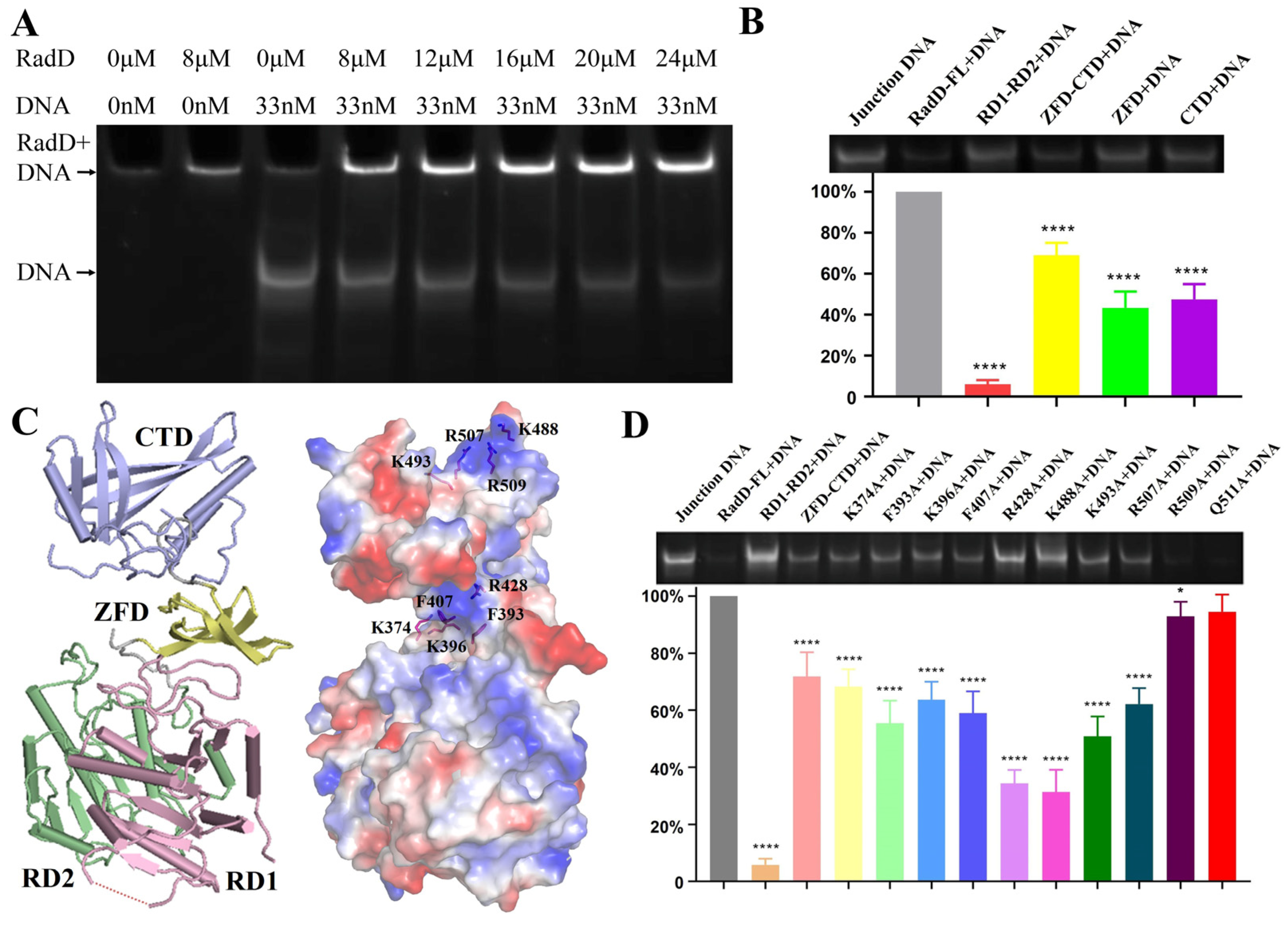 Ijms 24 00741 g006 Ijms 24 00741 g006