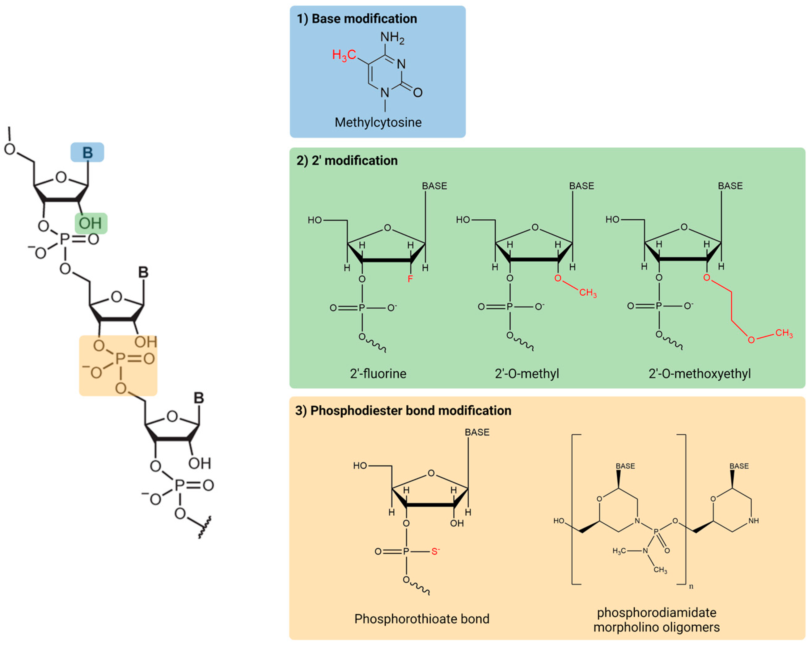 Ijms 24 00746 g002 Ijms 24 00746 g002