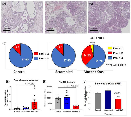 Target-Specific Nanoparticle Polyplex Down-Regulates Mutant Kras