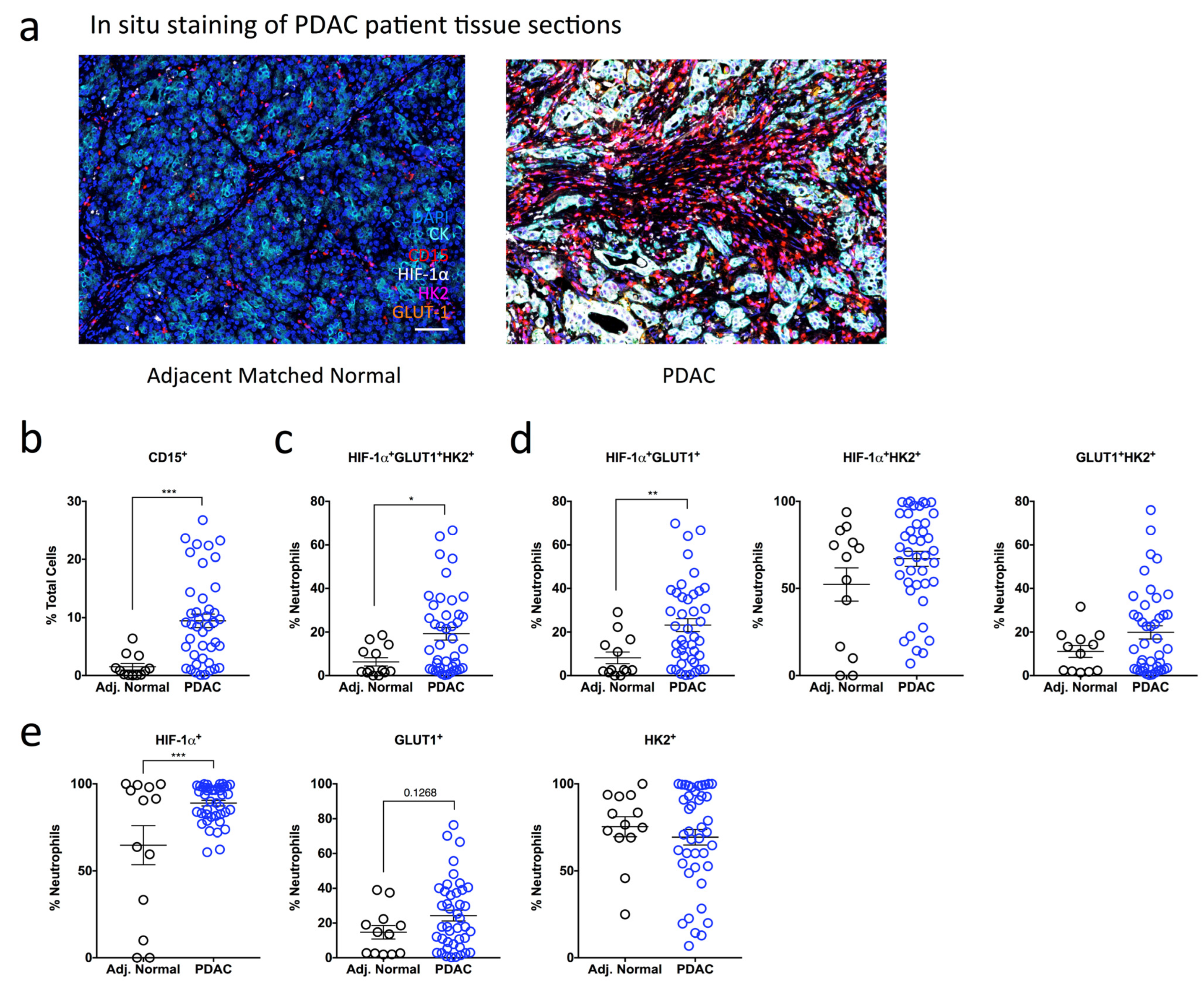 Ijms 24 00753 g003 Ijms 24 00753 g003