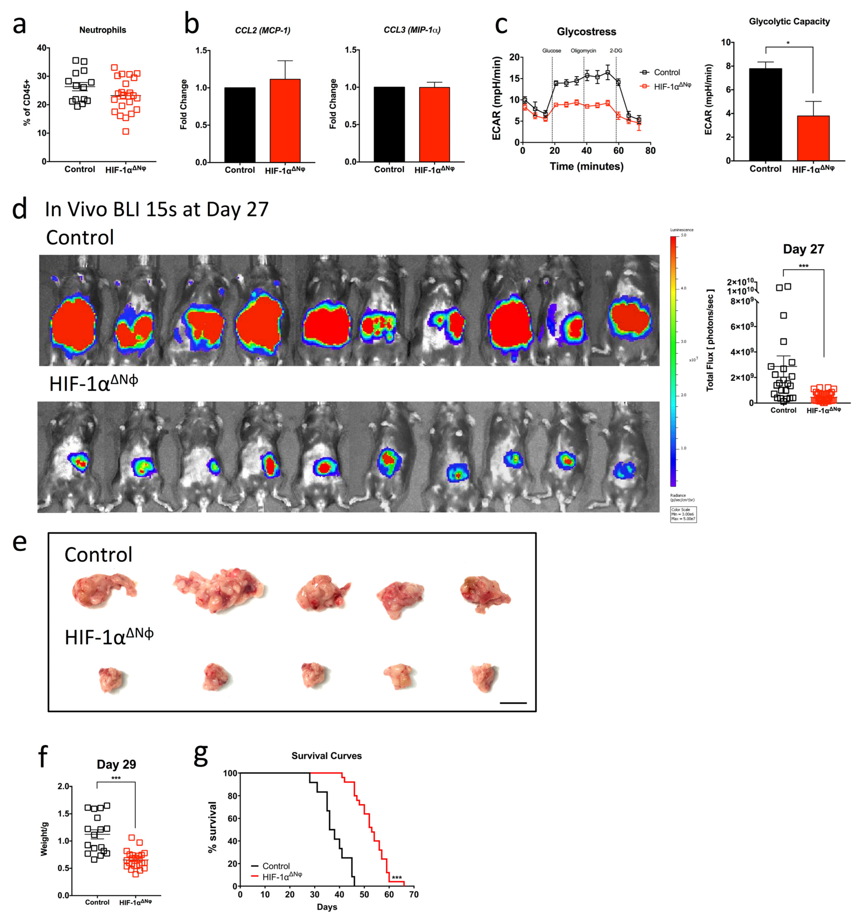 Ijms 24 00753 g004 Ijms 24 00753 g004