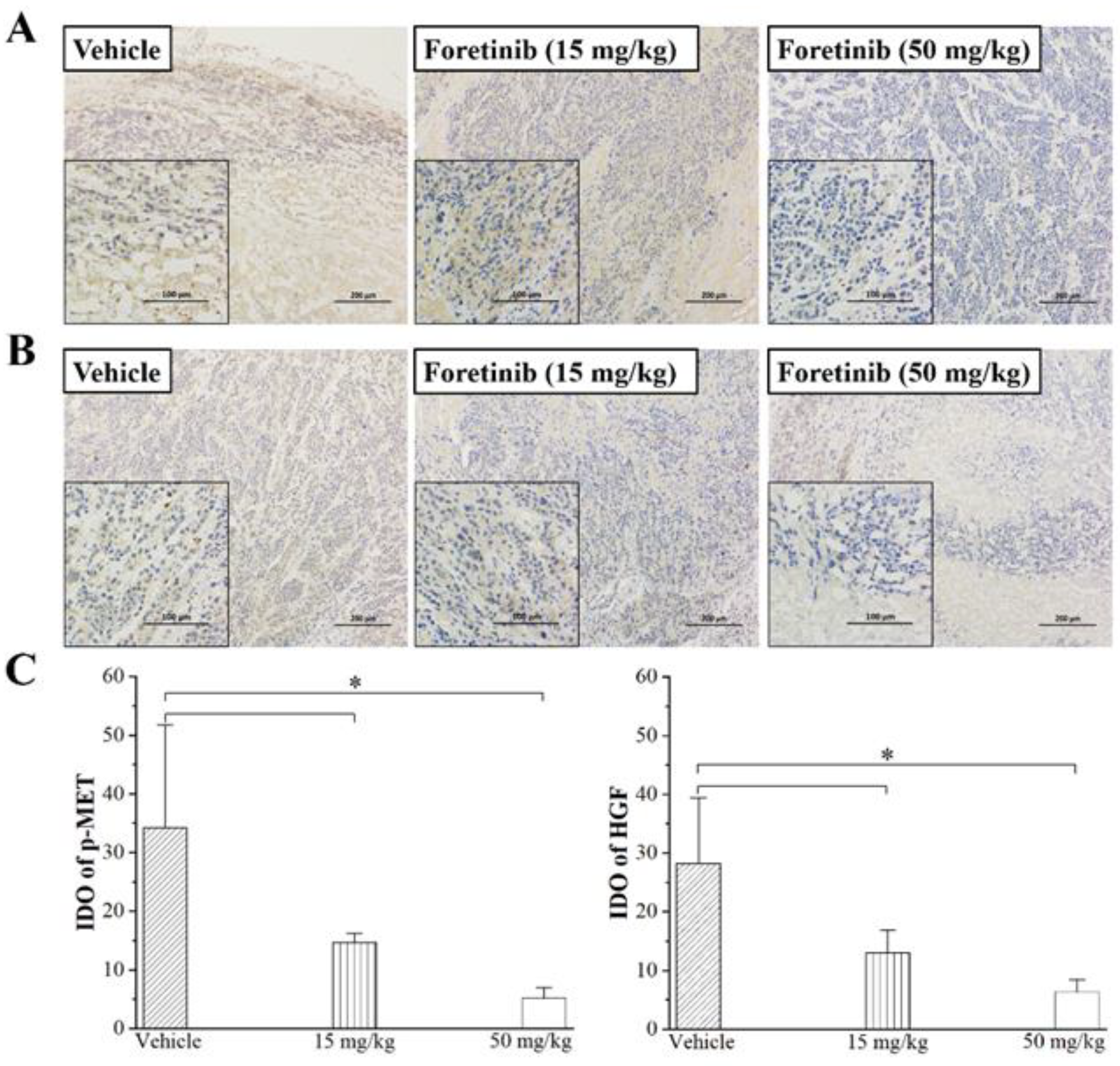Ijms 24 00757 g004 Ijms 24 00757 g004