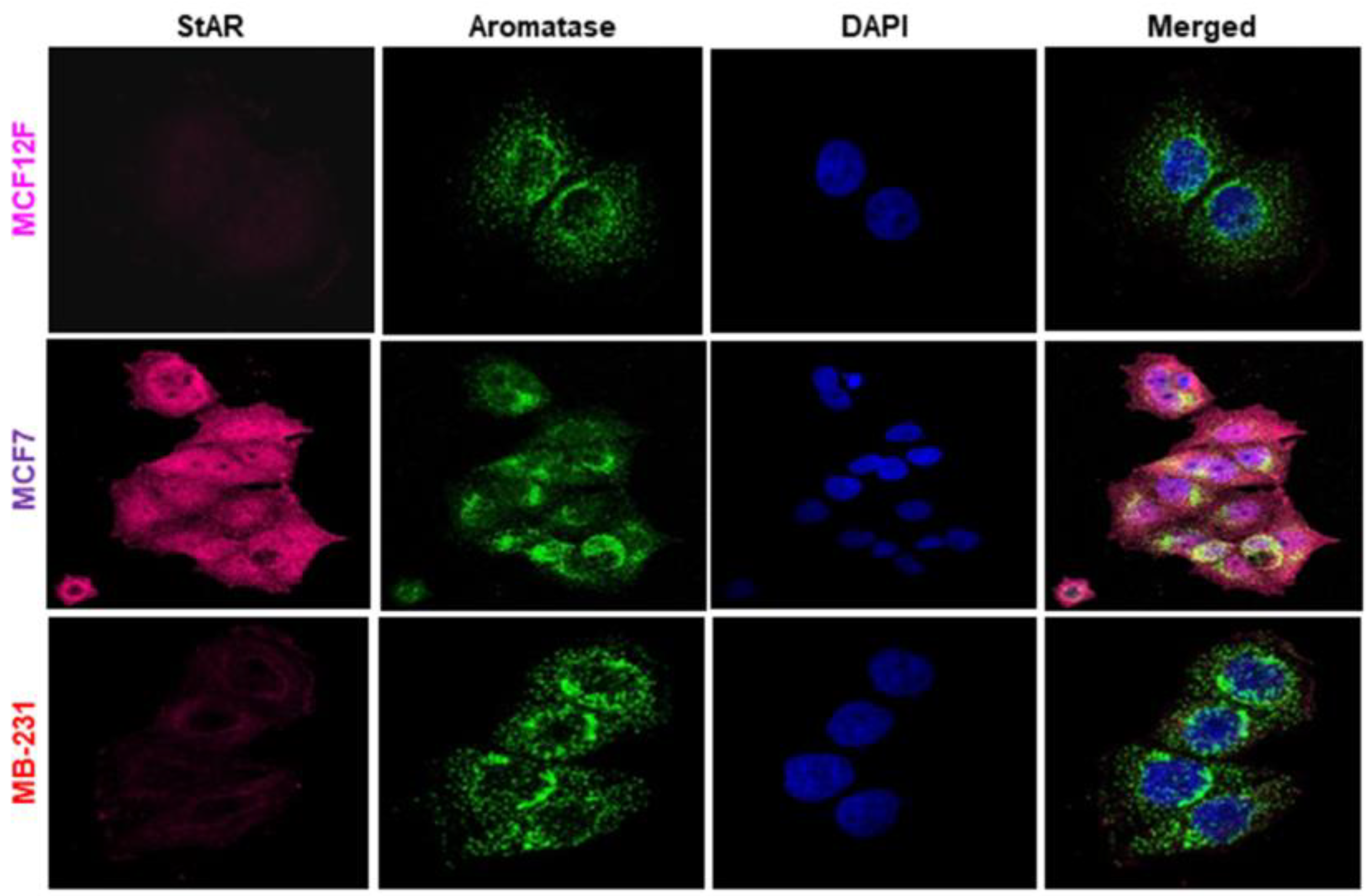 Ijms 24 00758 g002 Ijms 24 00758 g002