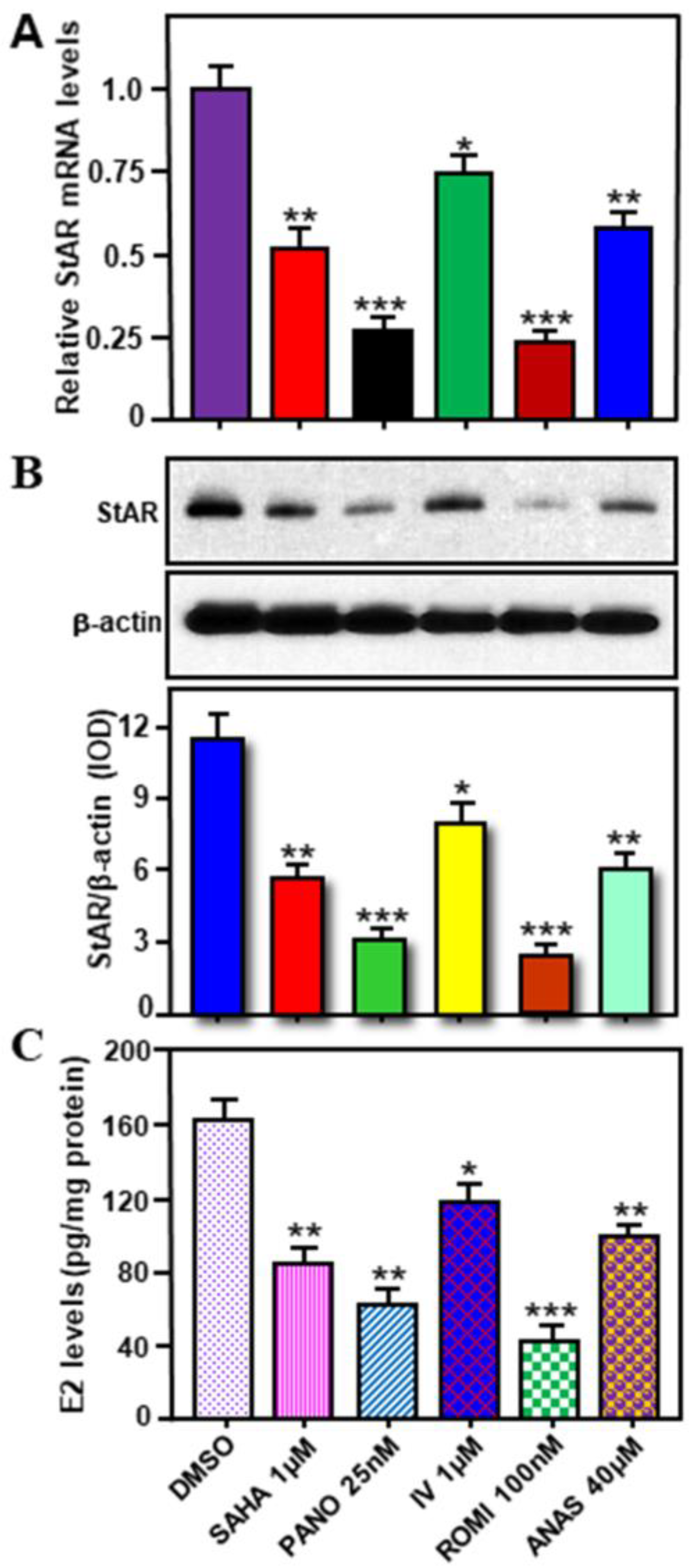Ijms 24 00758 g006 Ijms 24 00758 g006