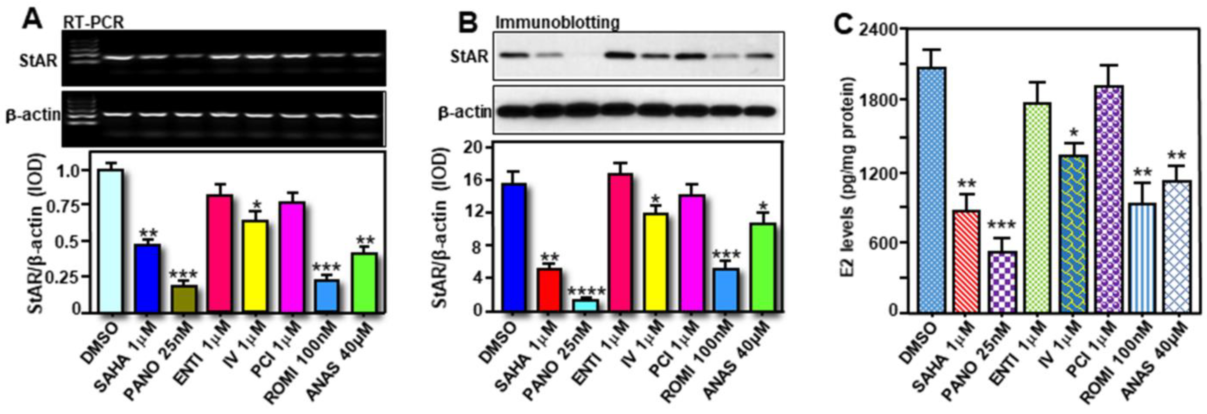 Ijms 24 00758 g007 Ijms 24 00758 g007