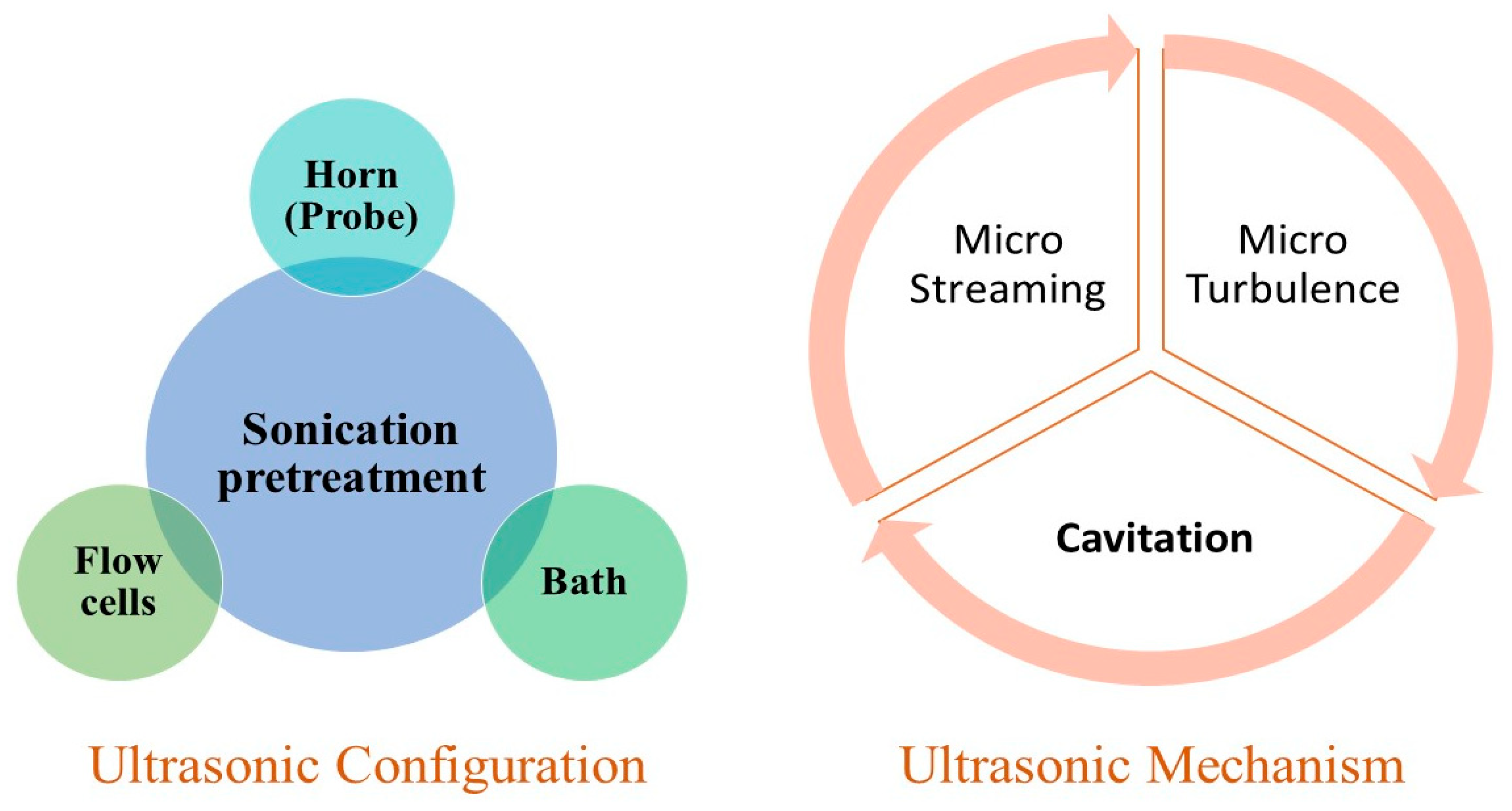 Ijms 24 00763 g004 Ijms 24 00763 g004
