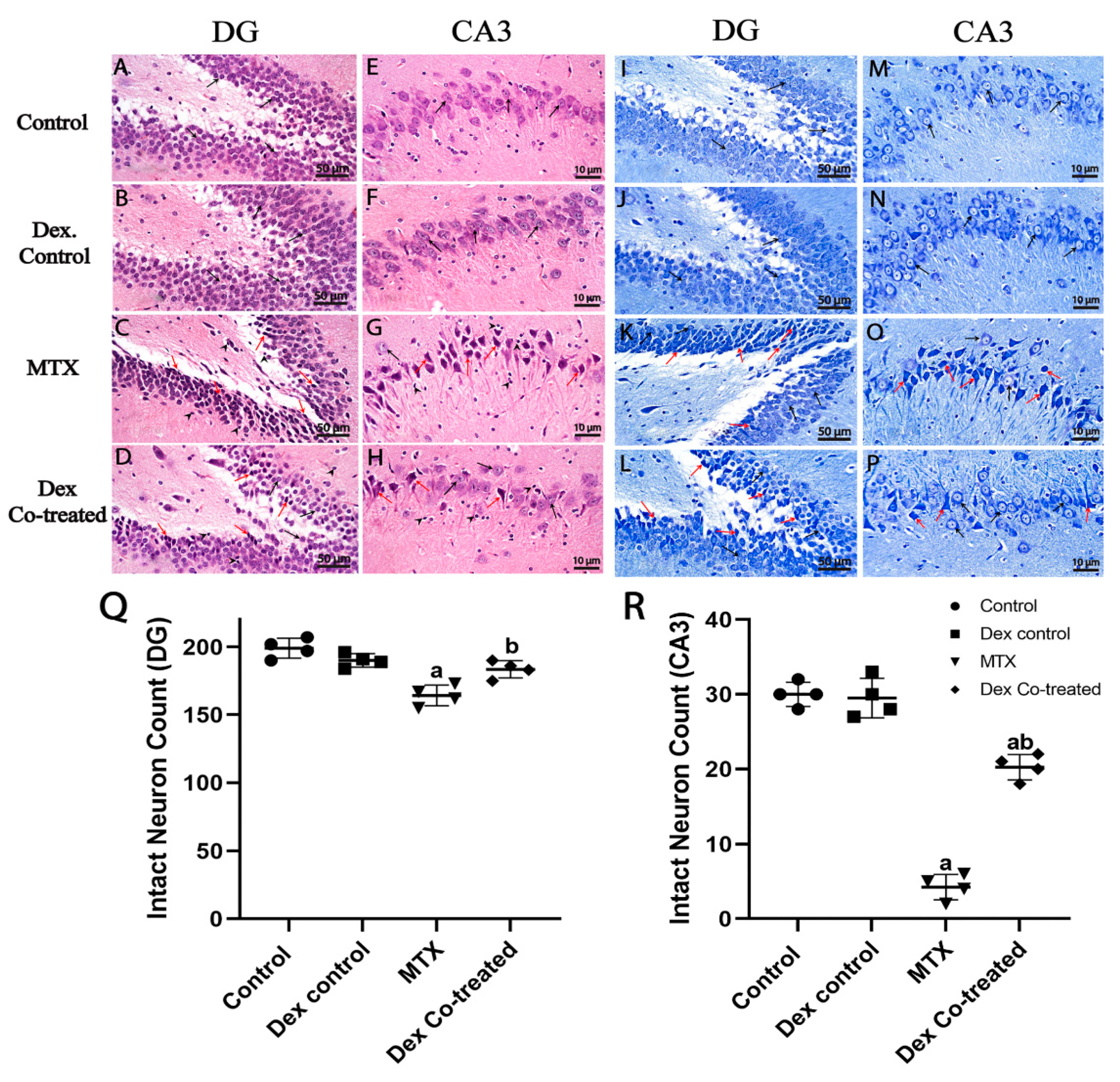 Ijms 24 00766 g007 Ijms 24 00766 g007