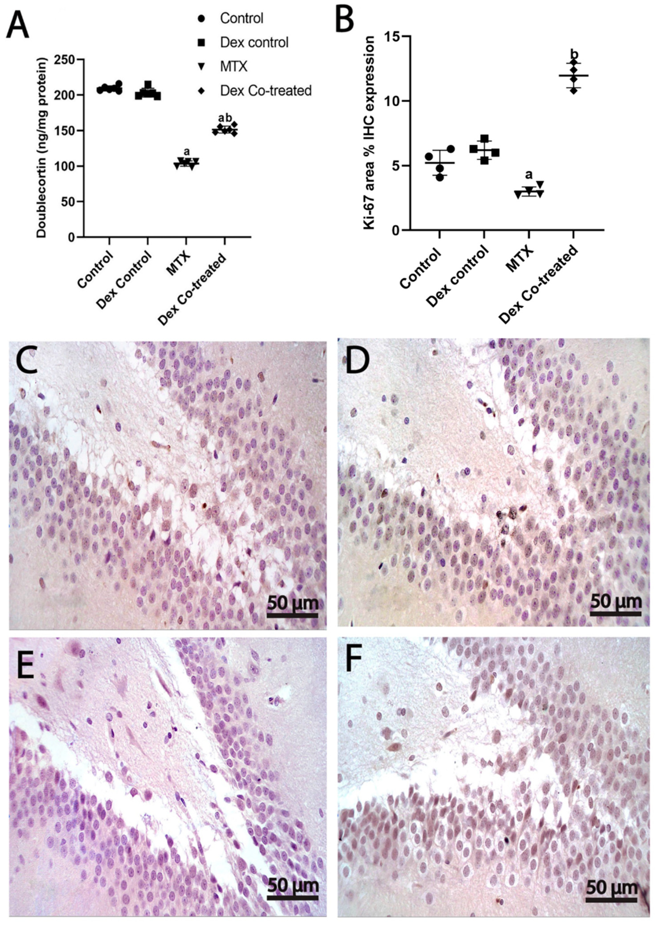 Ijms 24 00766 g008 Ijms 24 00766 g008