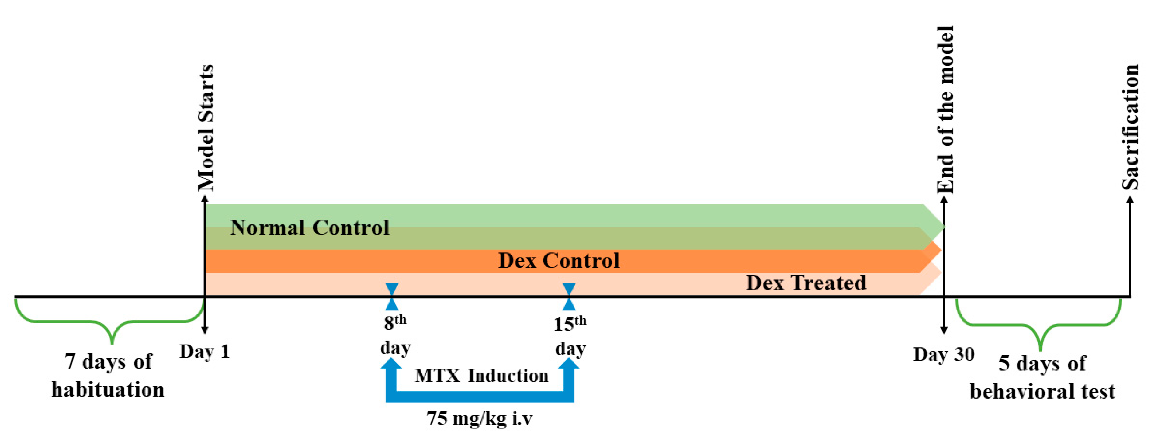 Ijms 24 00766 g009 Ijms 24 00766 g009