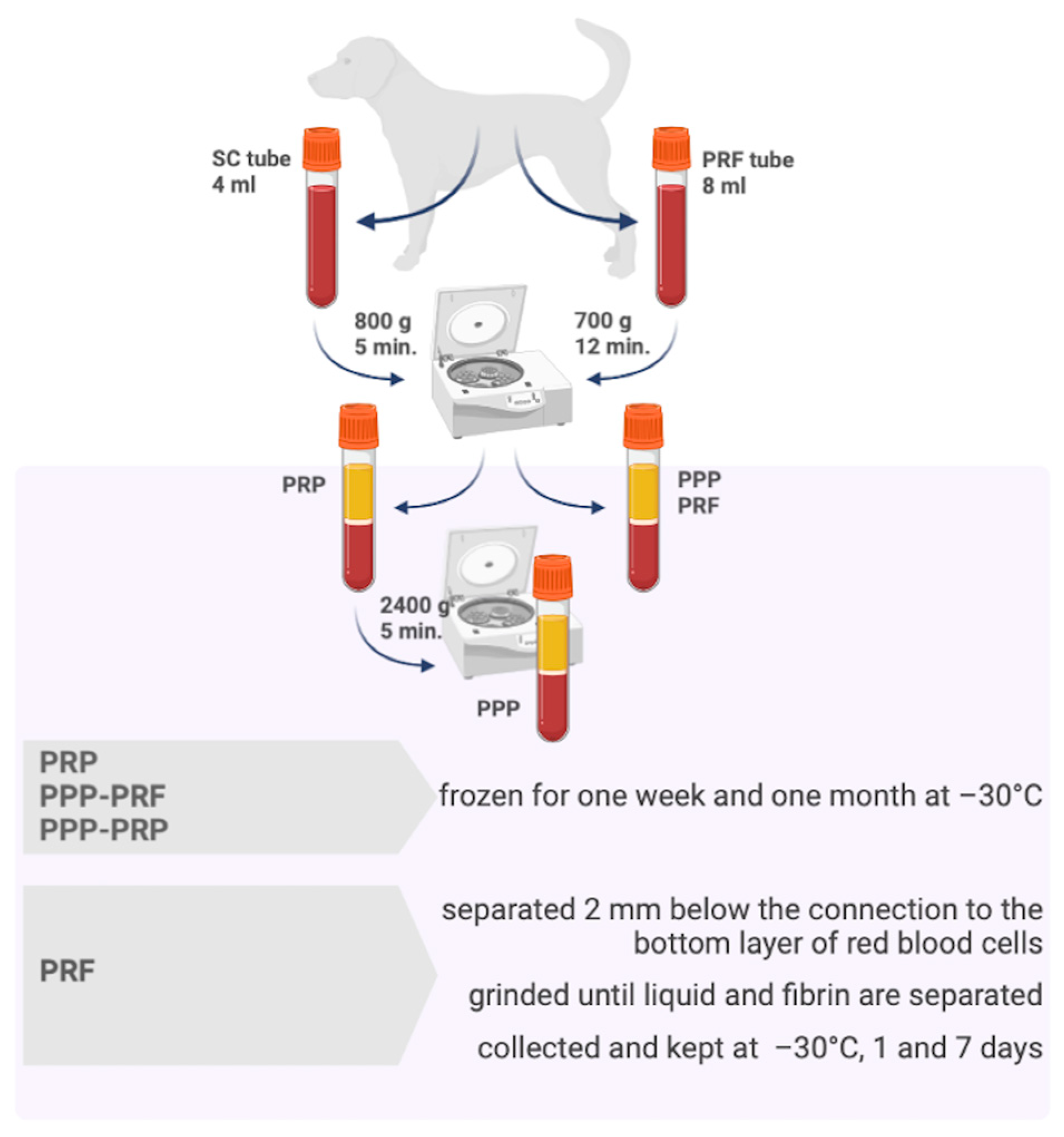 IJMS Free FullText microRNAs Are Abundant and Stable in Platelet