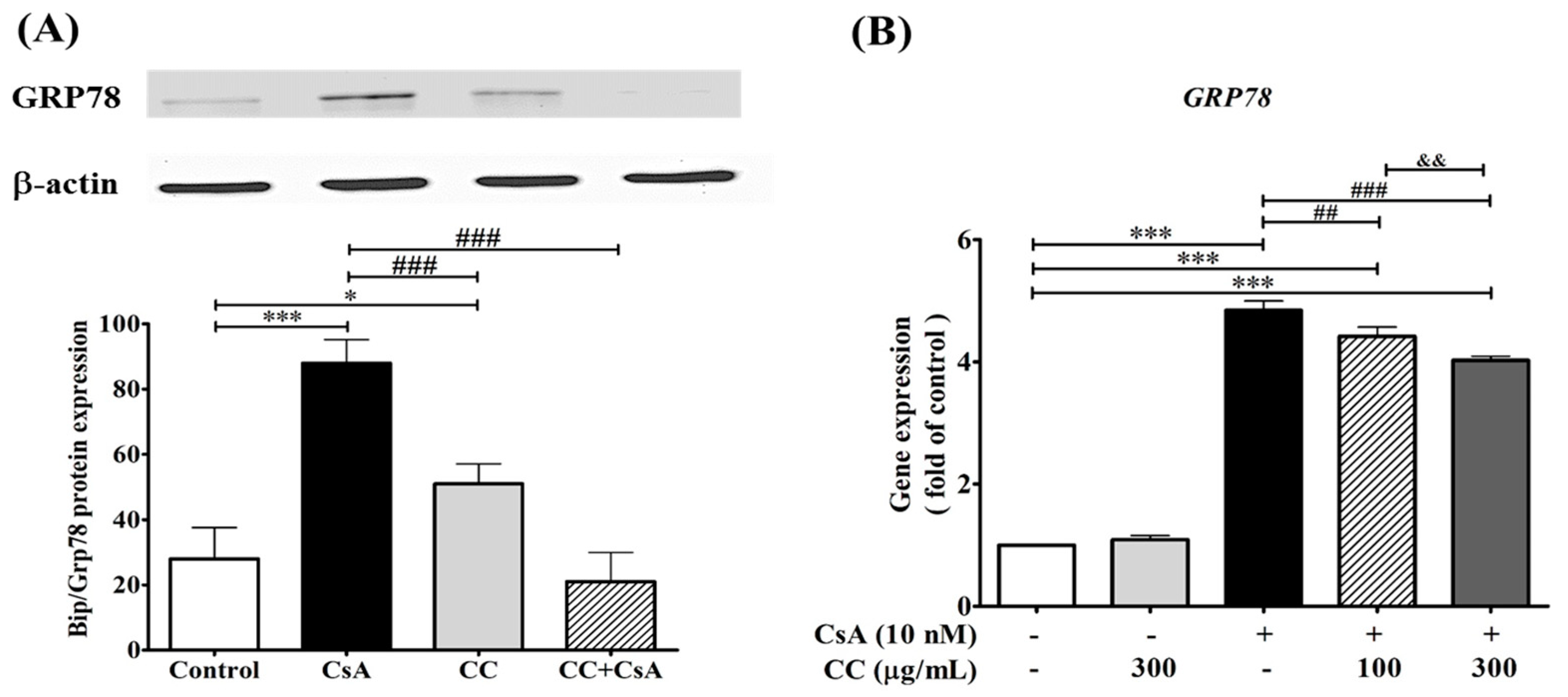Ijms 24 00772 g006 Ijms 24 00772 g006