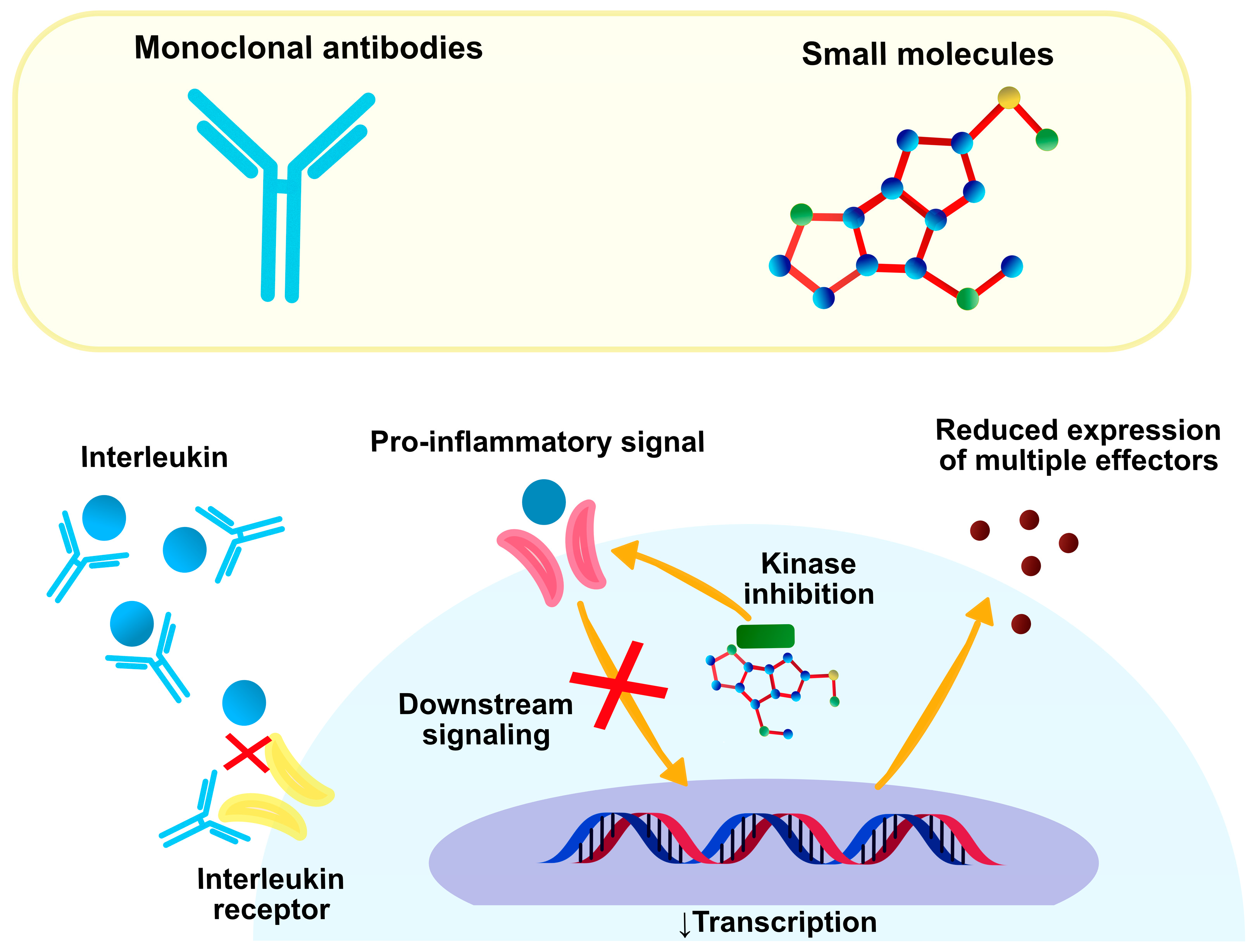 Ijms 24 00781 g002 Ijms 24 00781 g002