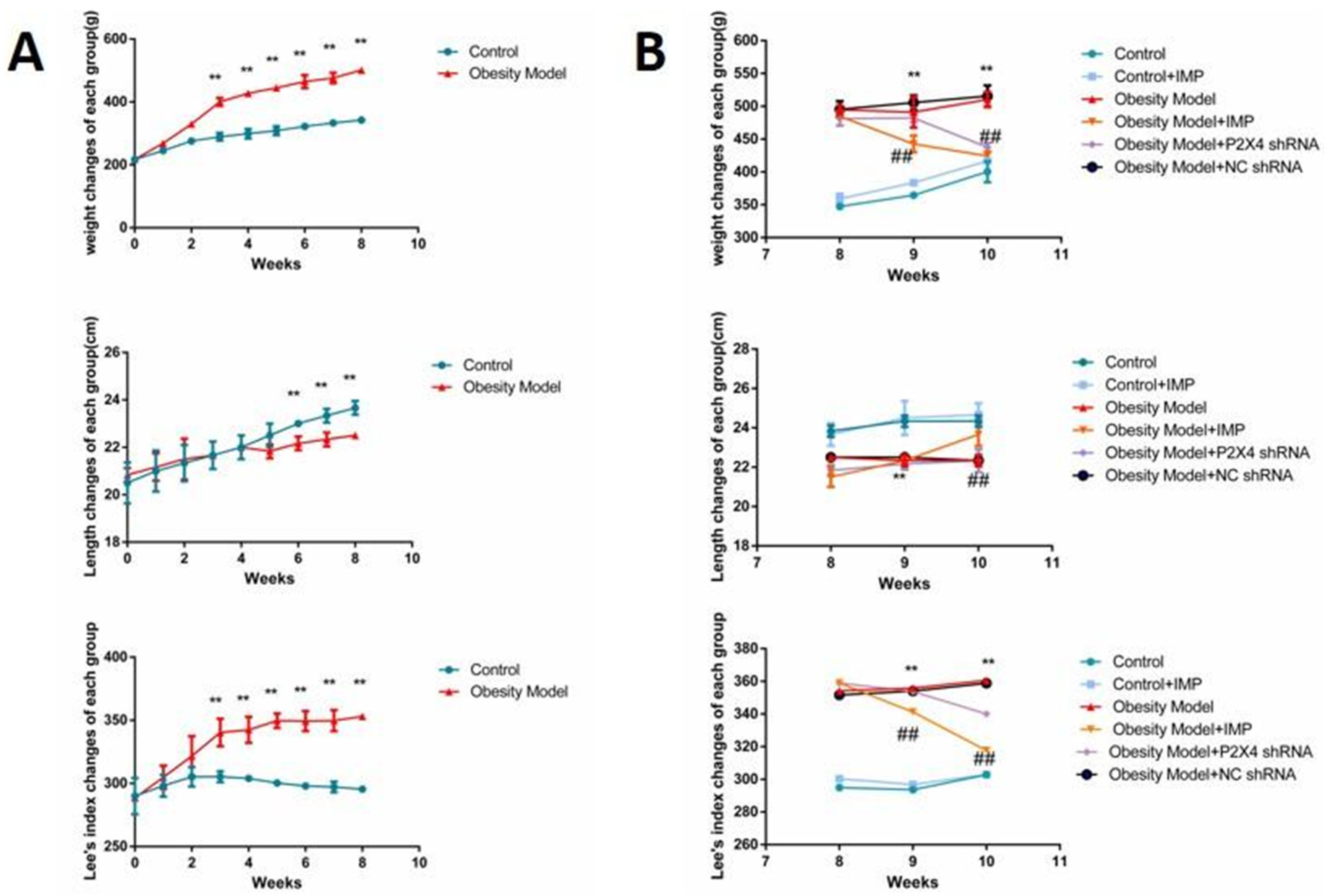 Ijms 24 00783 g002 Ijms 24 00783 g002