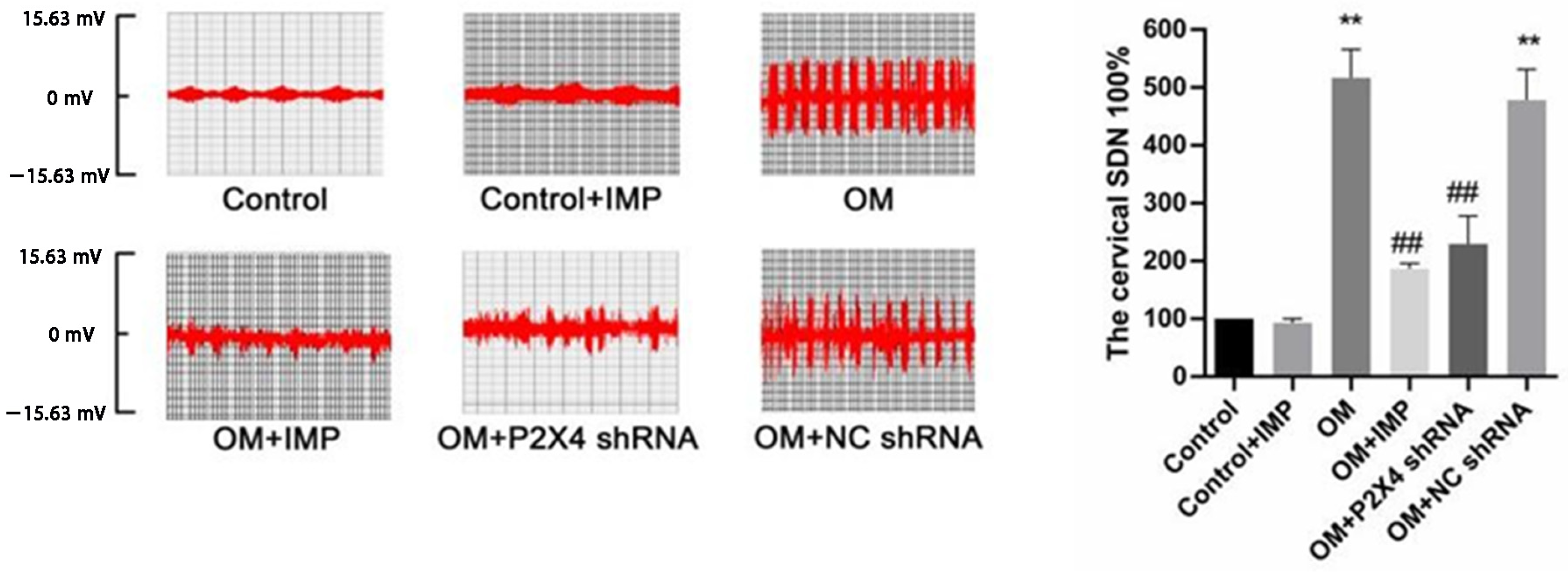 Ijms 24 00783 g003 Ijms 24 00783 g003