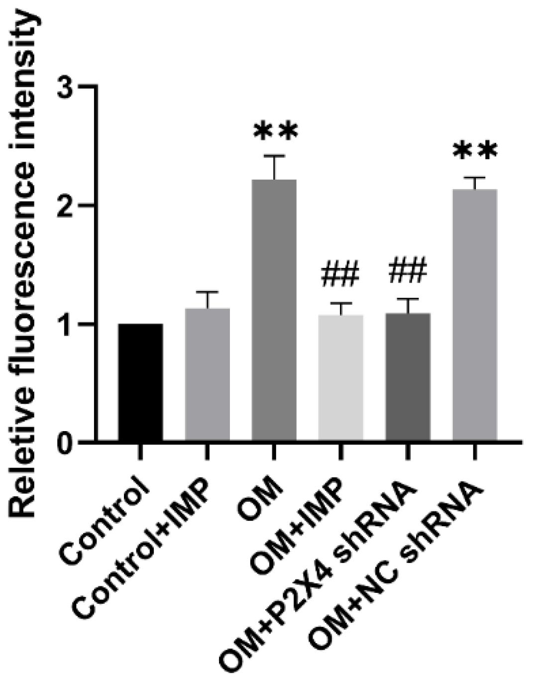 Ijms 24 00783 g007b Ijms 24 00783 g007b
