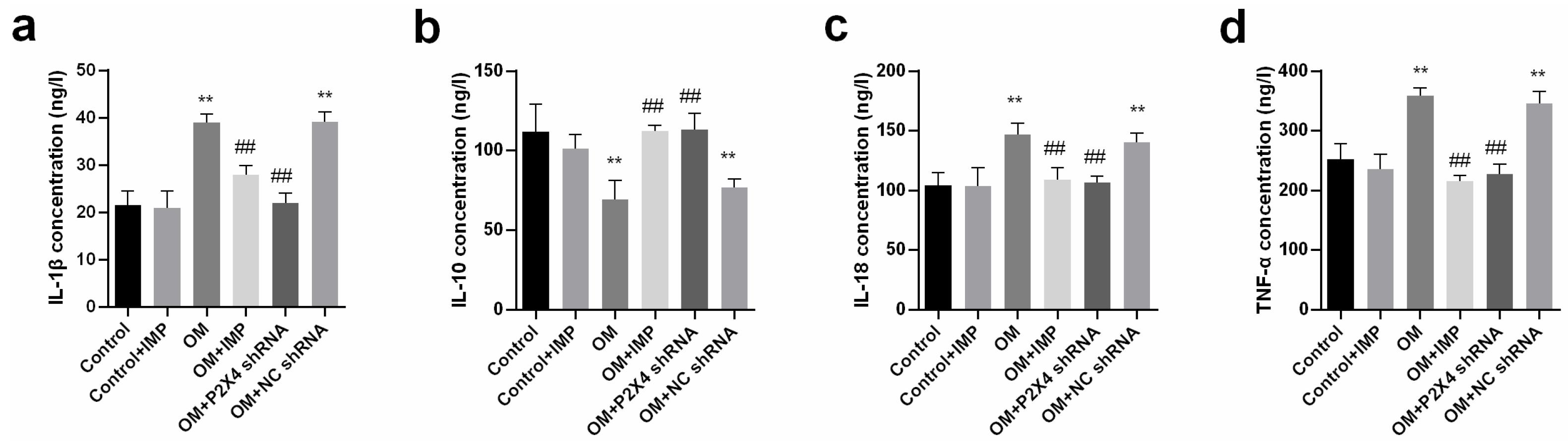 Ijms 24 00783 g008 Ijms 24 00783 g008