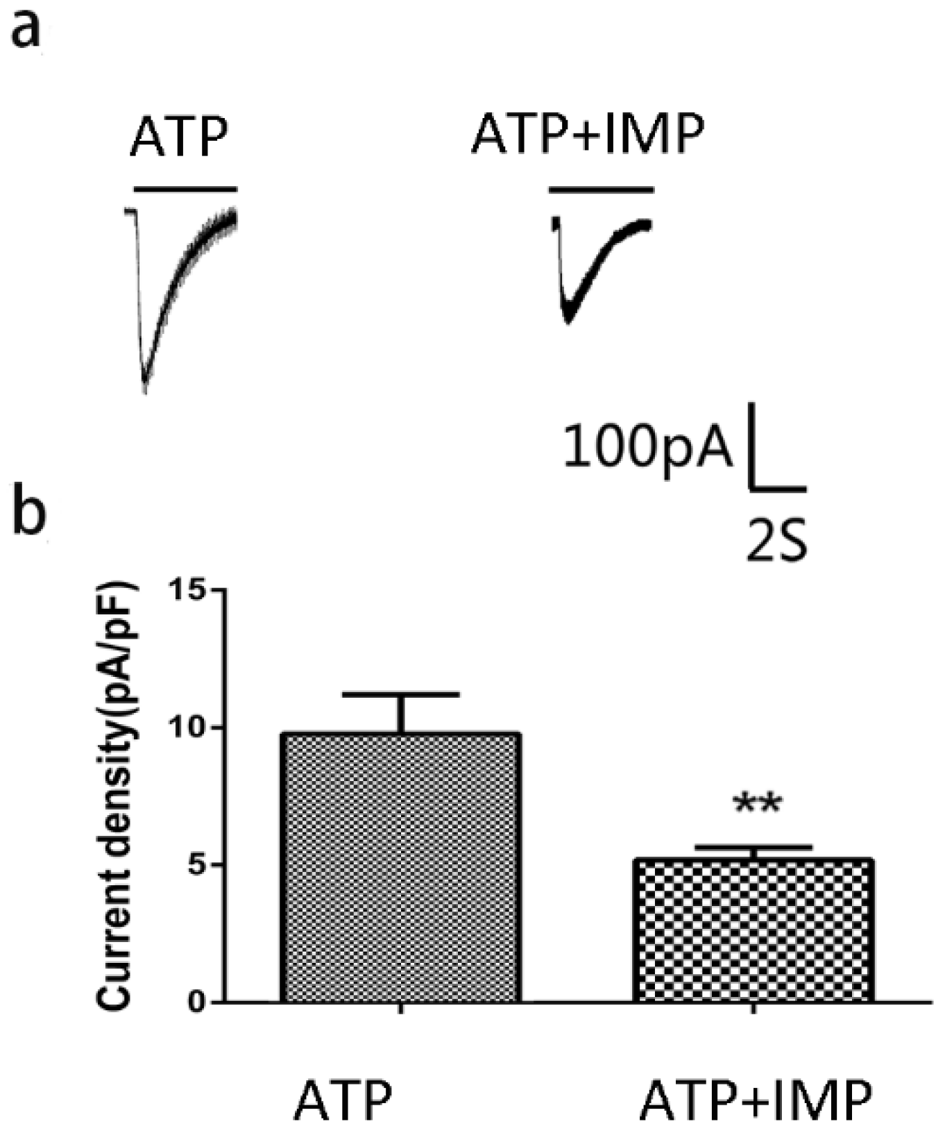 Ijms 24 00783 g012 Ijms 24 00783 g012