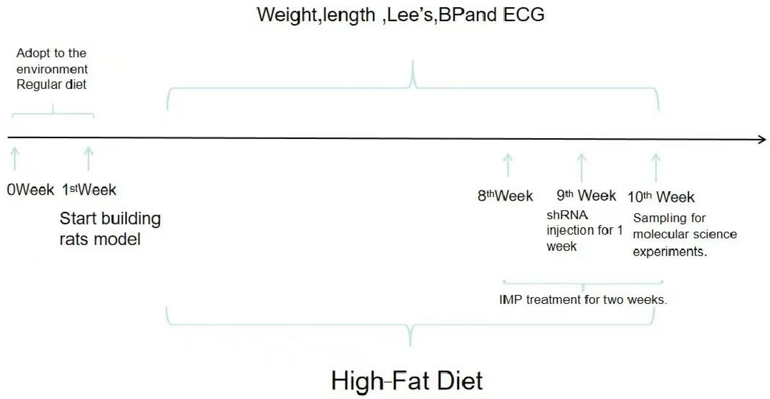 Ijms 24 00783 g013 Ijms 24 00783 g013