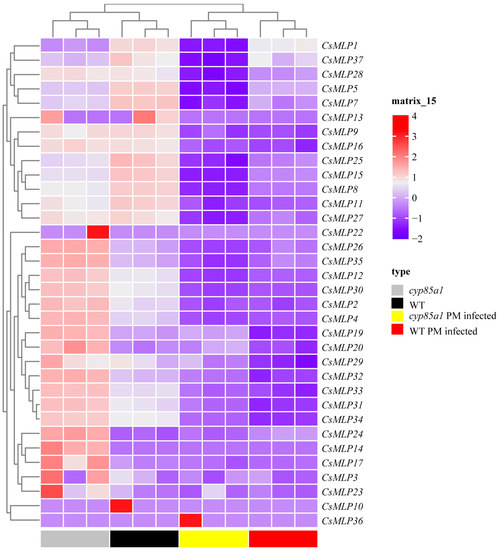 Comprehensive Analysis of Major Latex-Like Protein Family Genes in