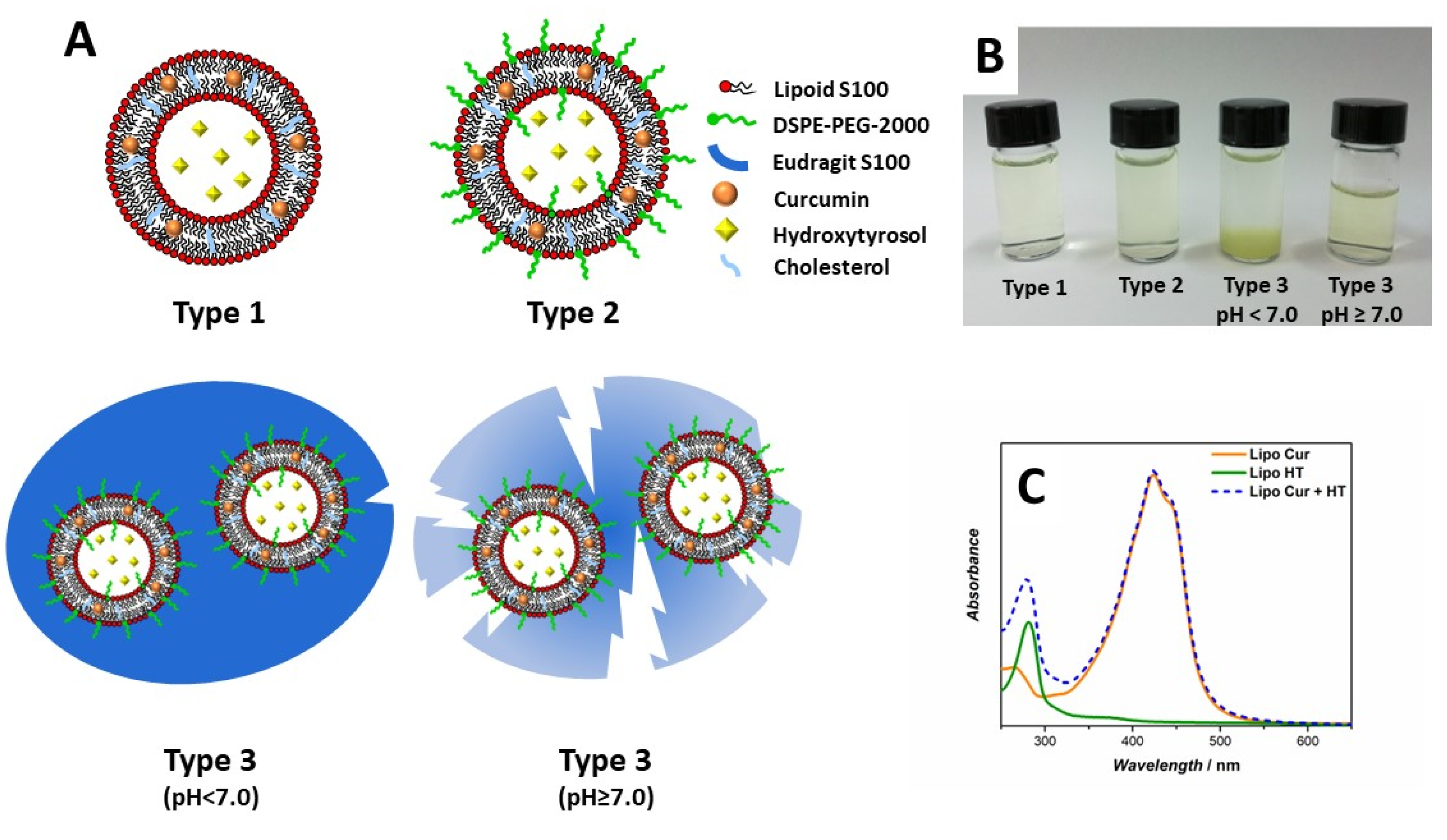 Ijms 24 00790 g001 Ijms 24 00790 g001