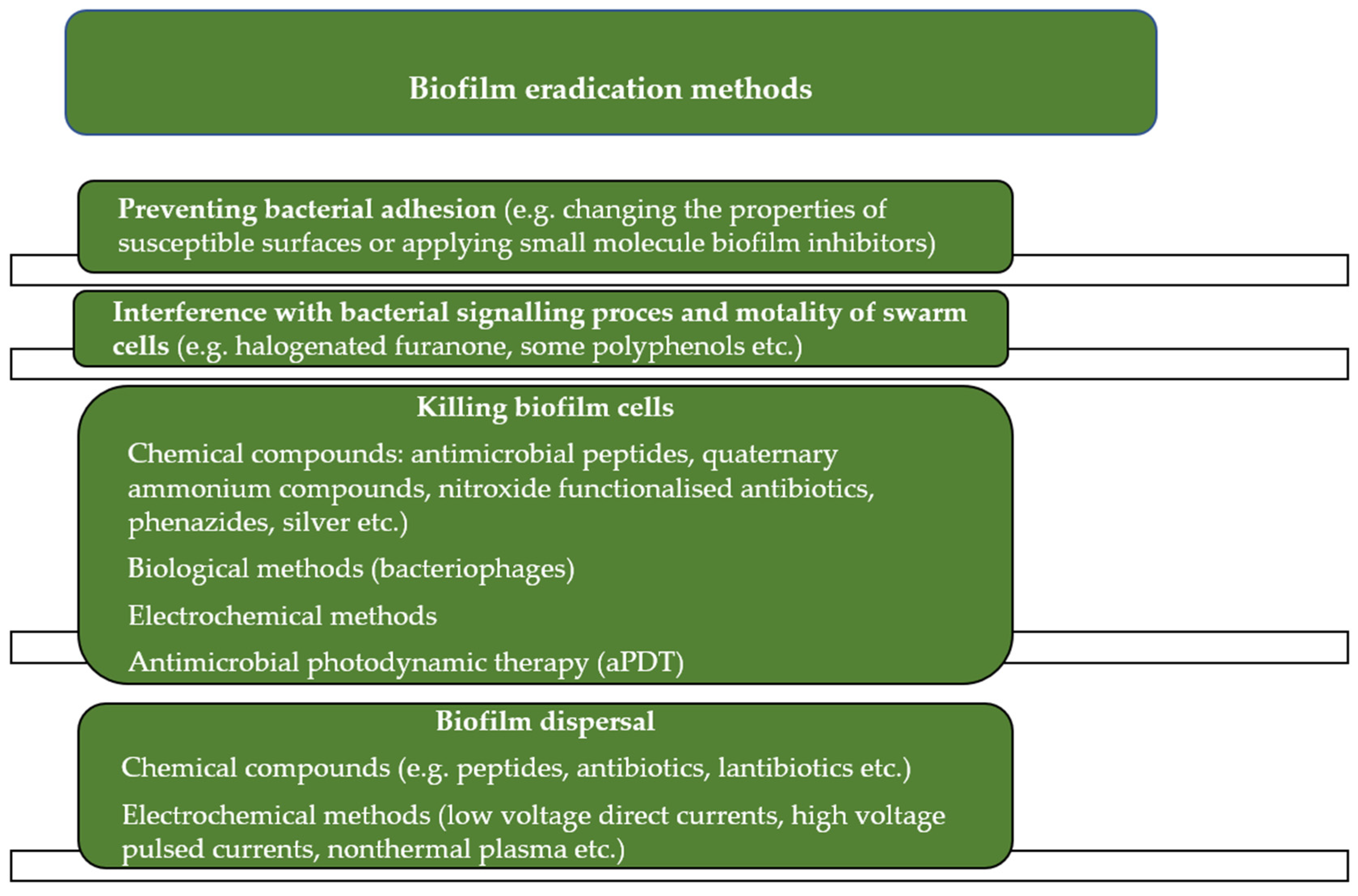 Ijms 24 00791 g001 Ijms 24 00791 g001
