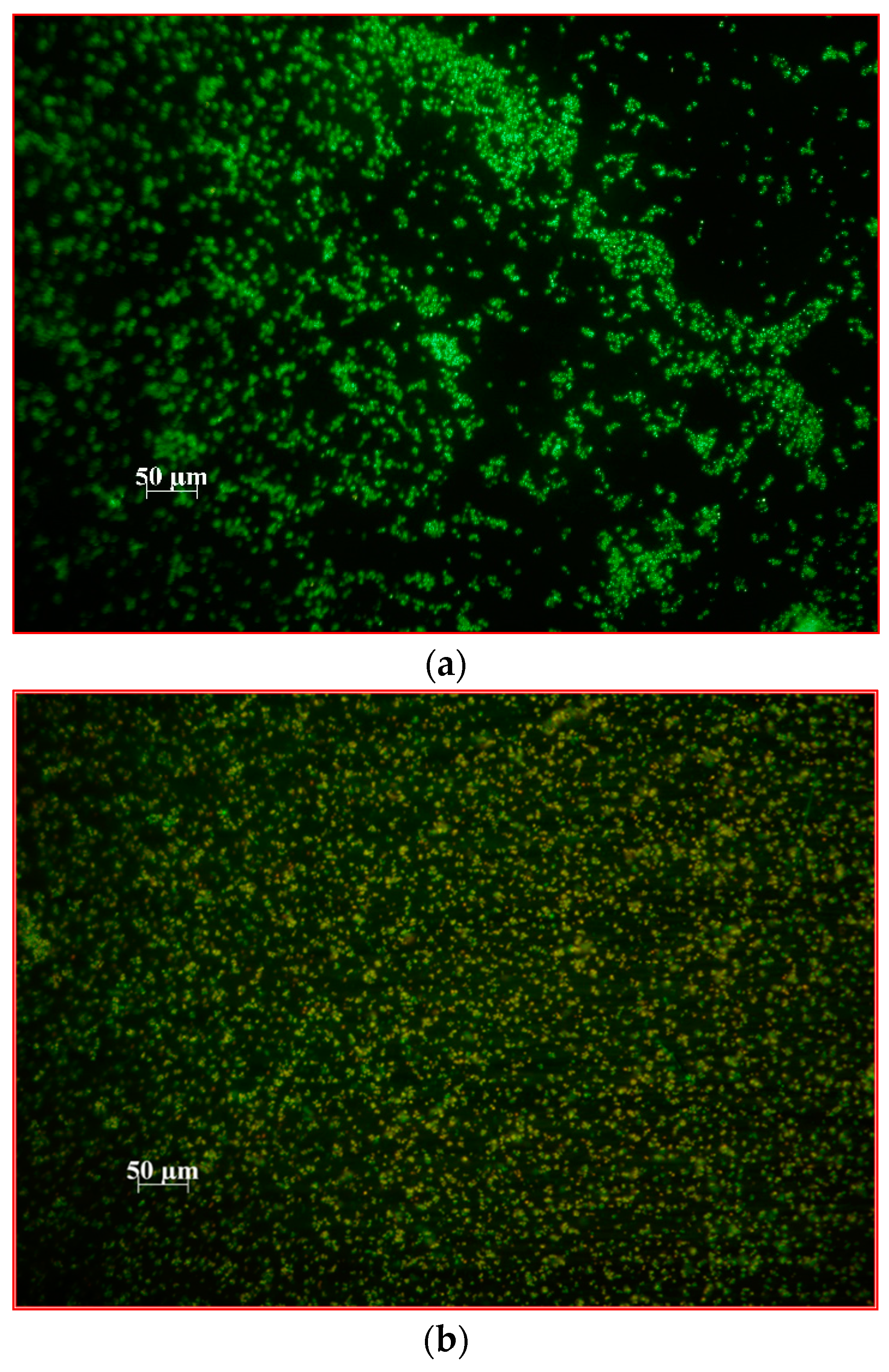 Ijms 24 00791 g004a Ijms 24 00791 g004a