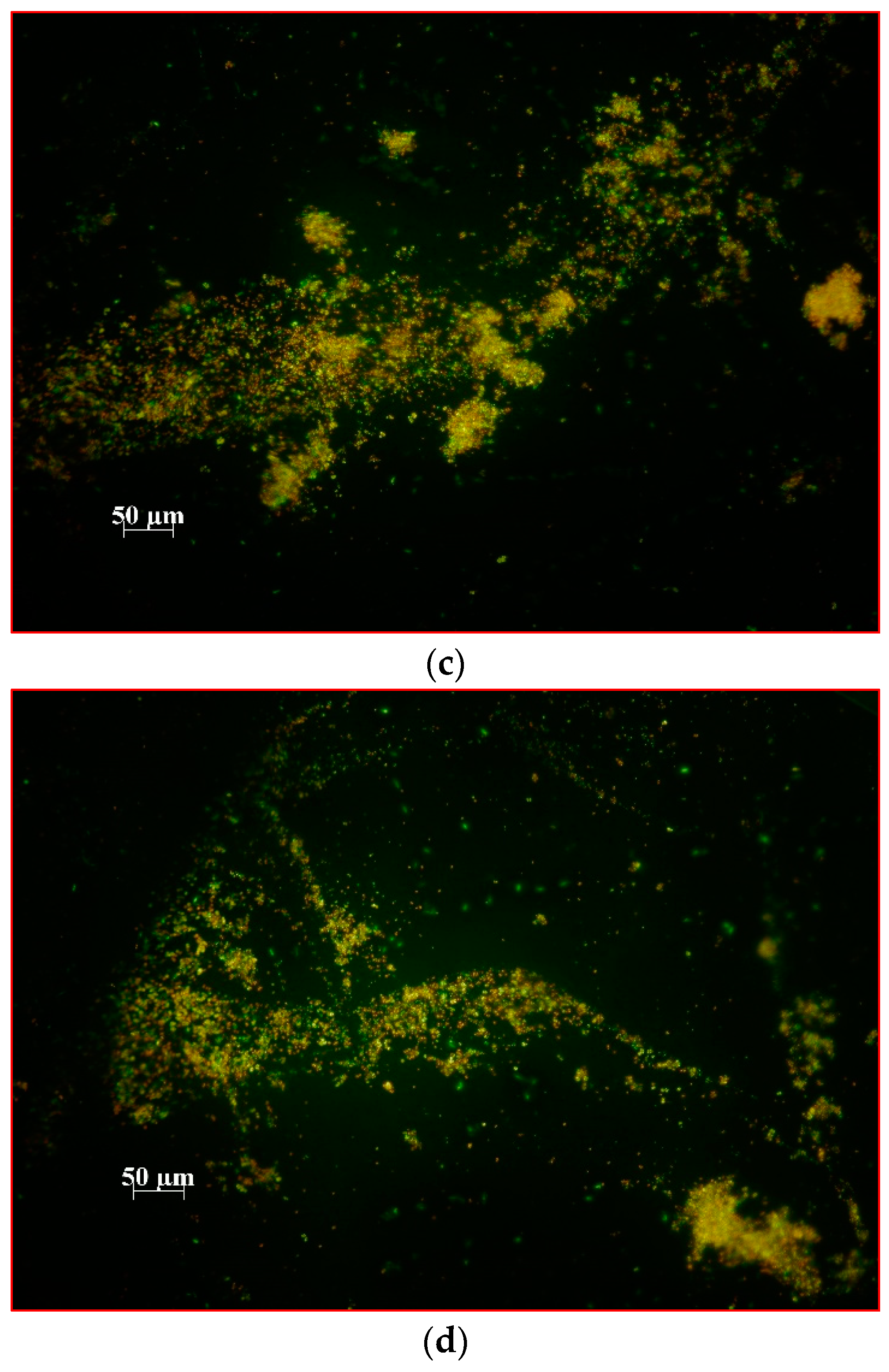 Ijms 24 00791 g004b Ijms 24 00791 g004b