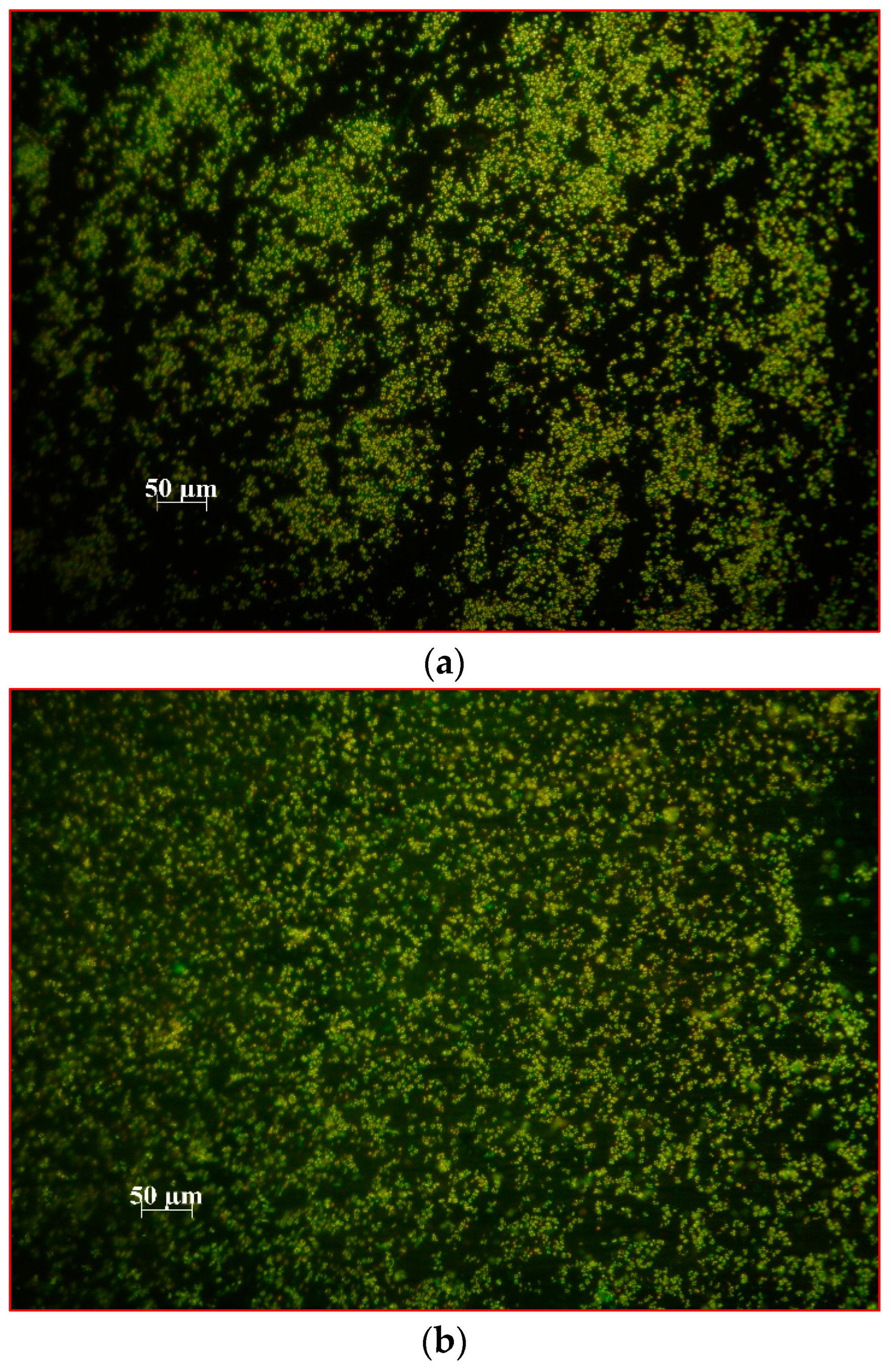 Ijms 24 00791 g005a Ijms 24 00791 g005a