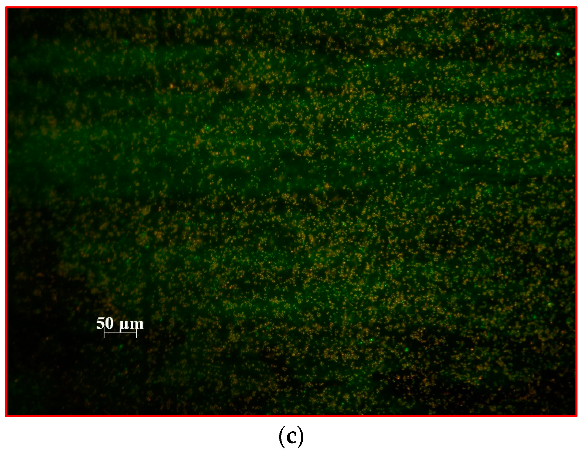 Ijms 24 00791 g005b Ijms 24 00791 g005b