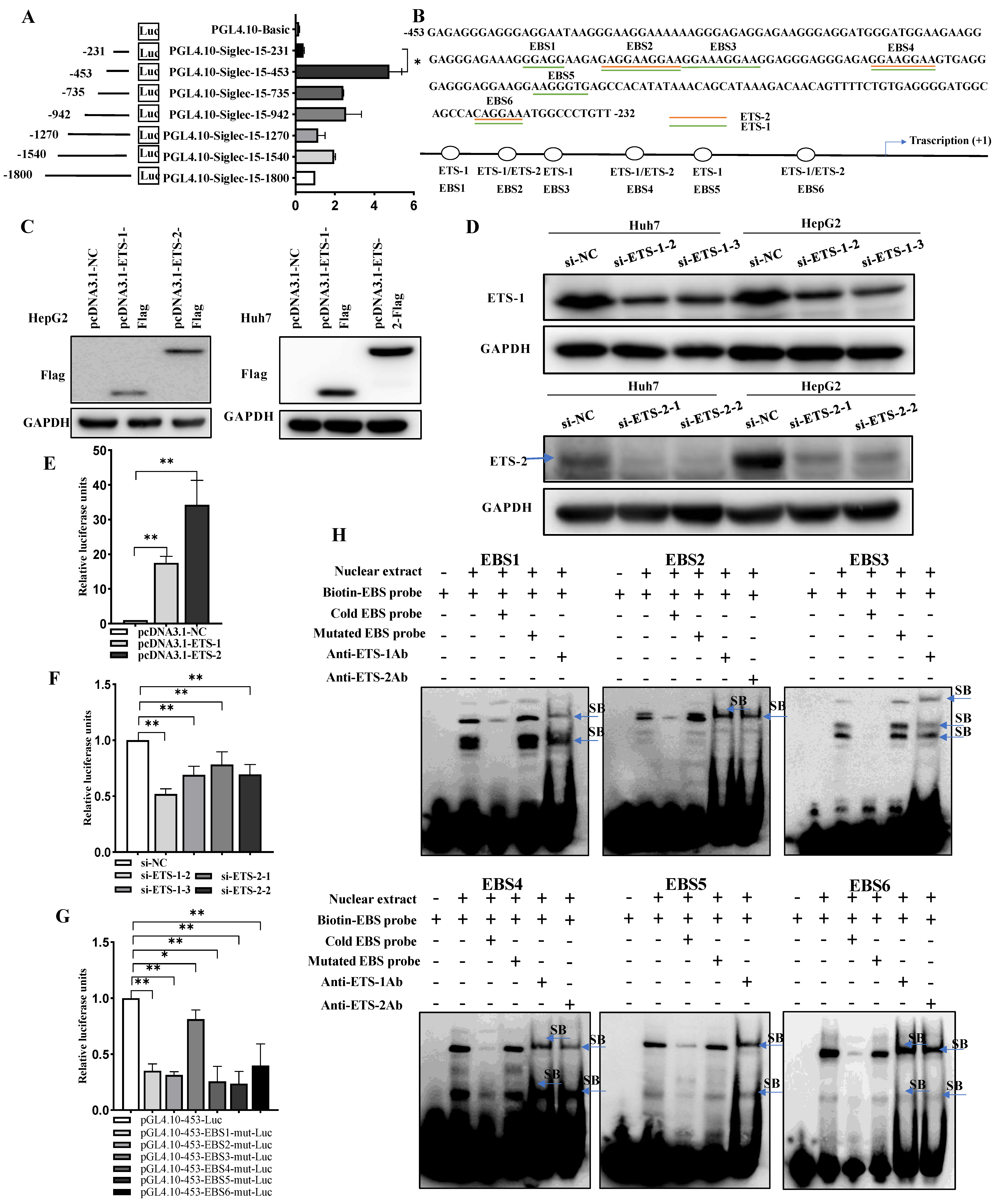 Ijms 24 00792 g002 Ijms 24 00792 g002
