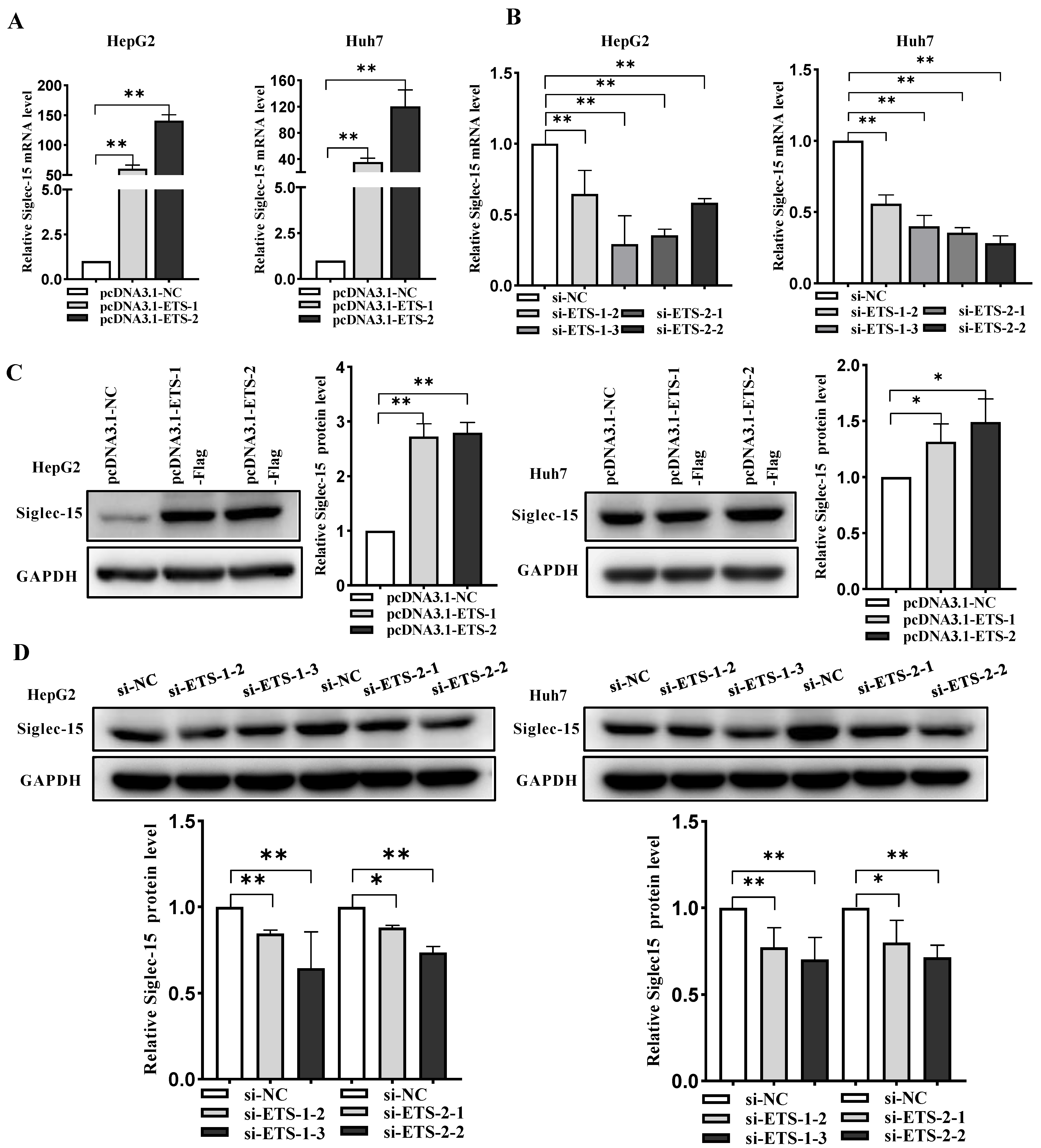 Ijms 24 00792 g003 Ijms 24 00792 g003
