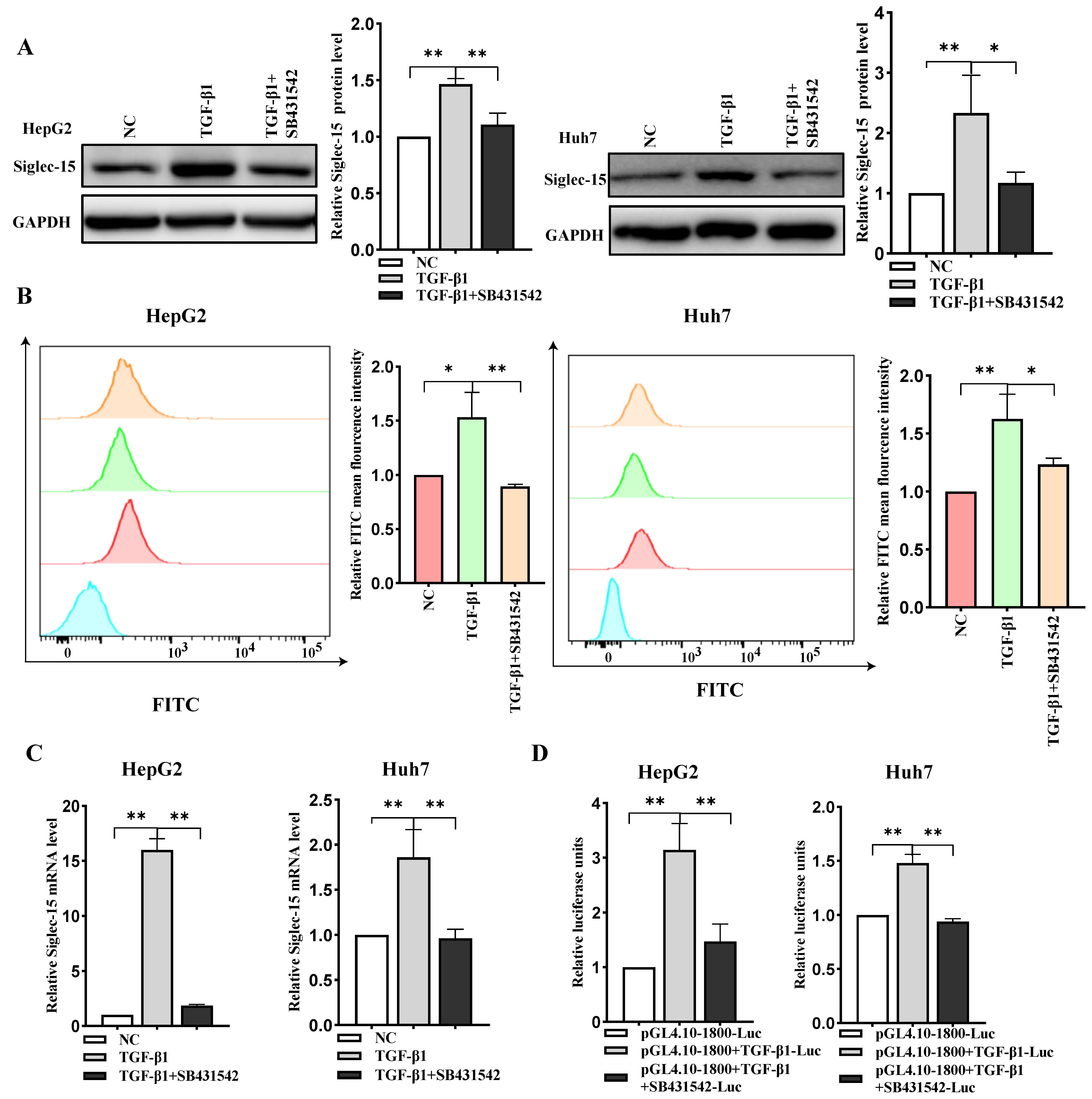 Ijms 24 00792 g004 Ijms 24 00792 g004