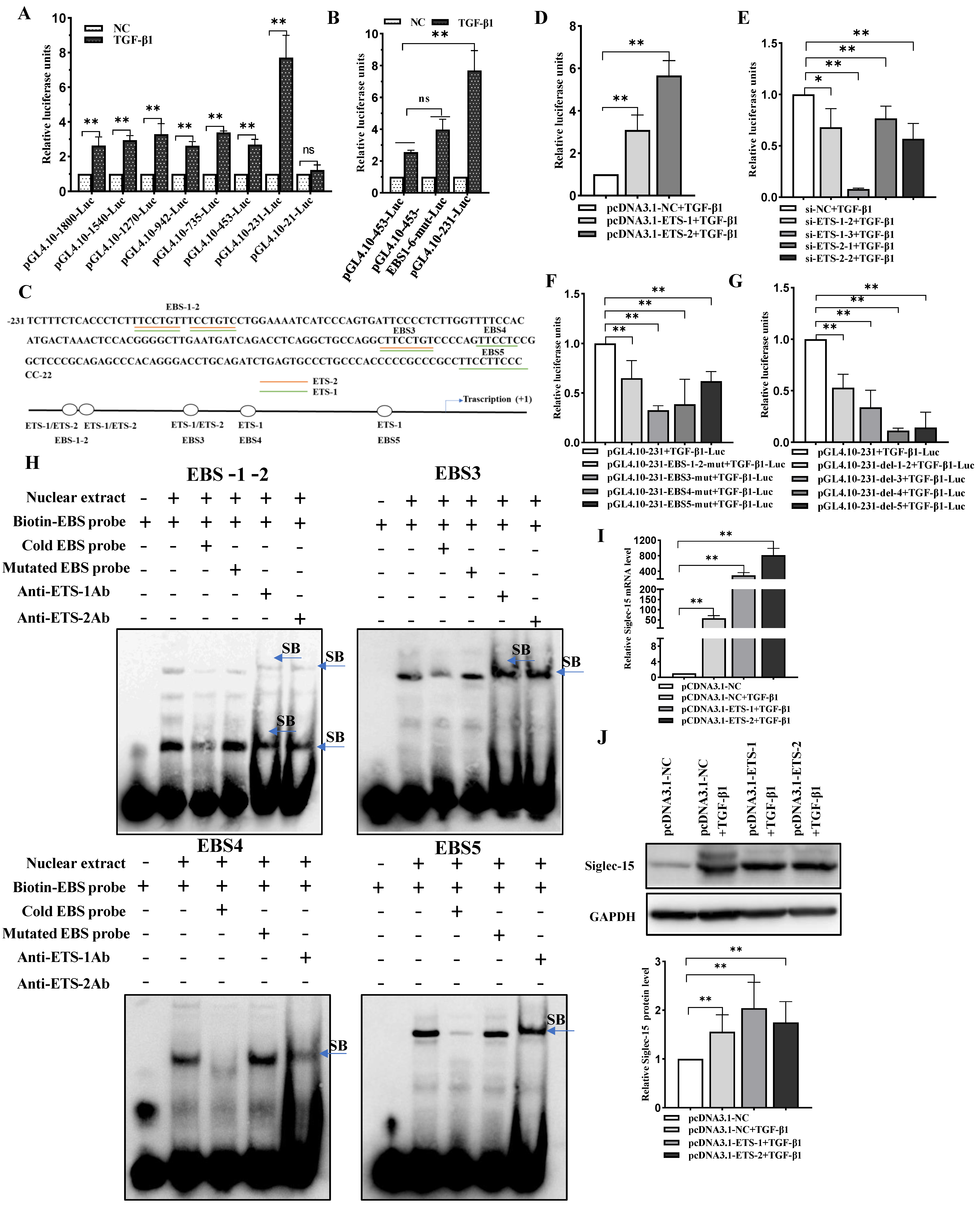 Ijms 24 00792 g005 Ijms 24 00792 g005