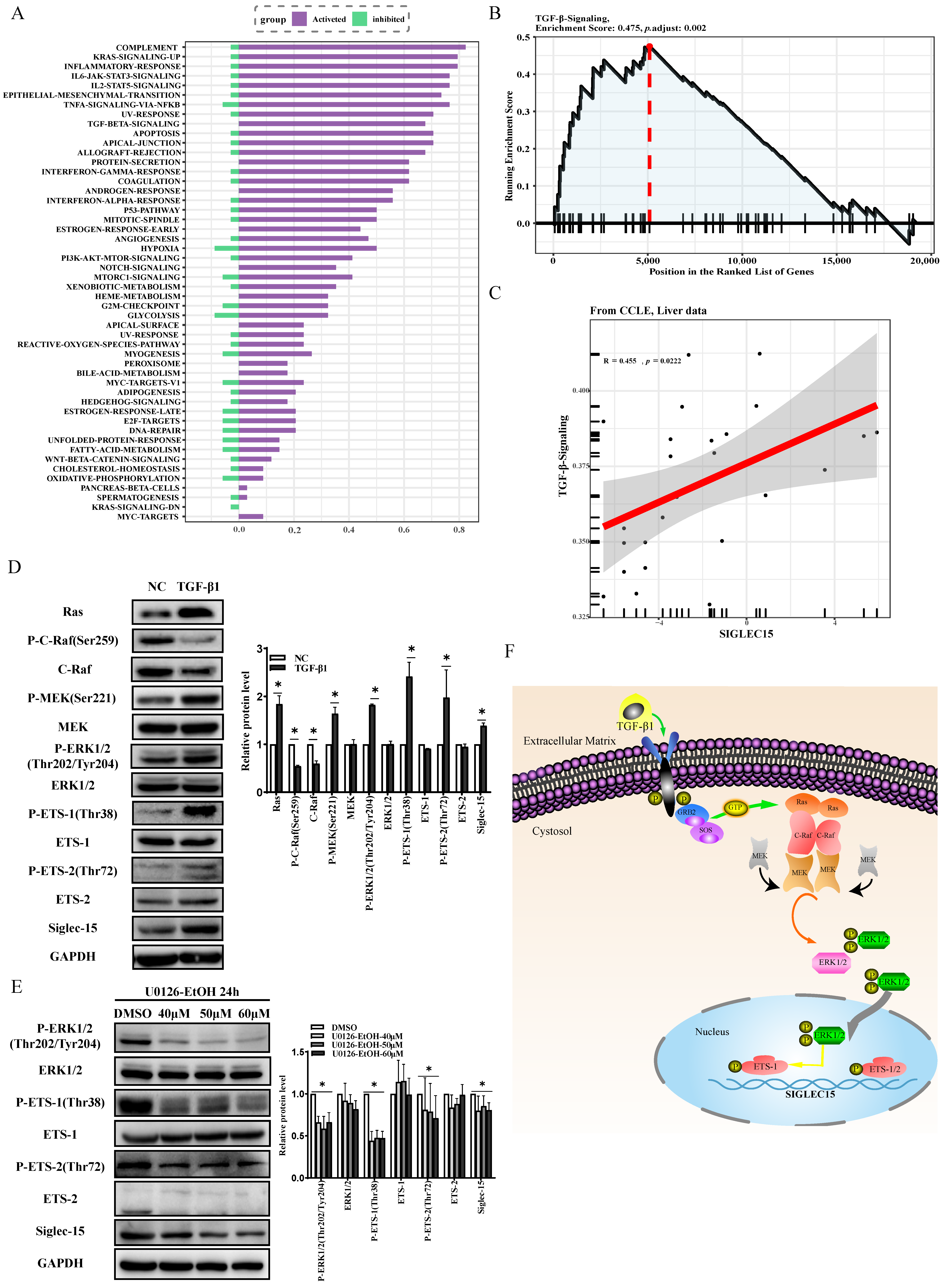 Ijms 24 00792 g006 Ijms 24 00792 g006