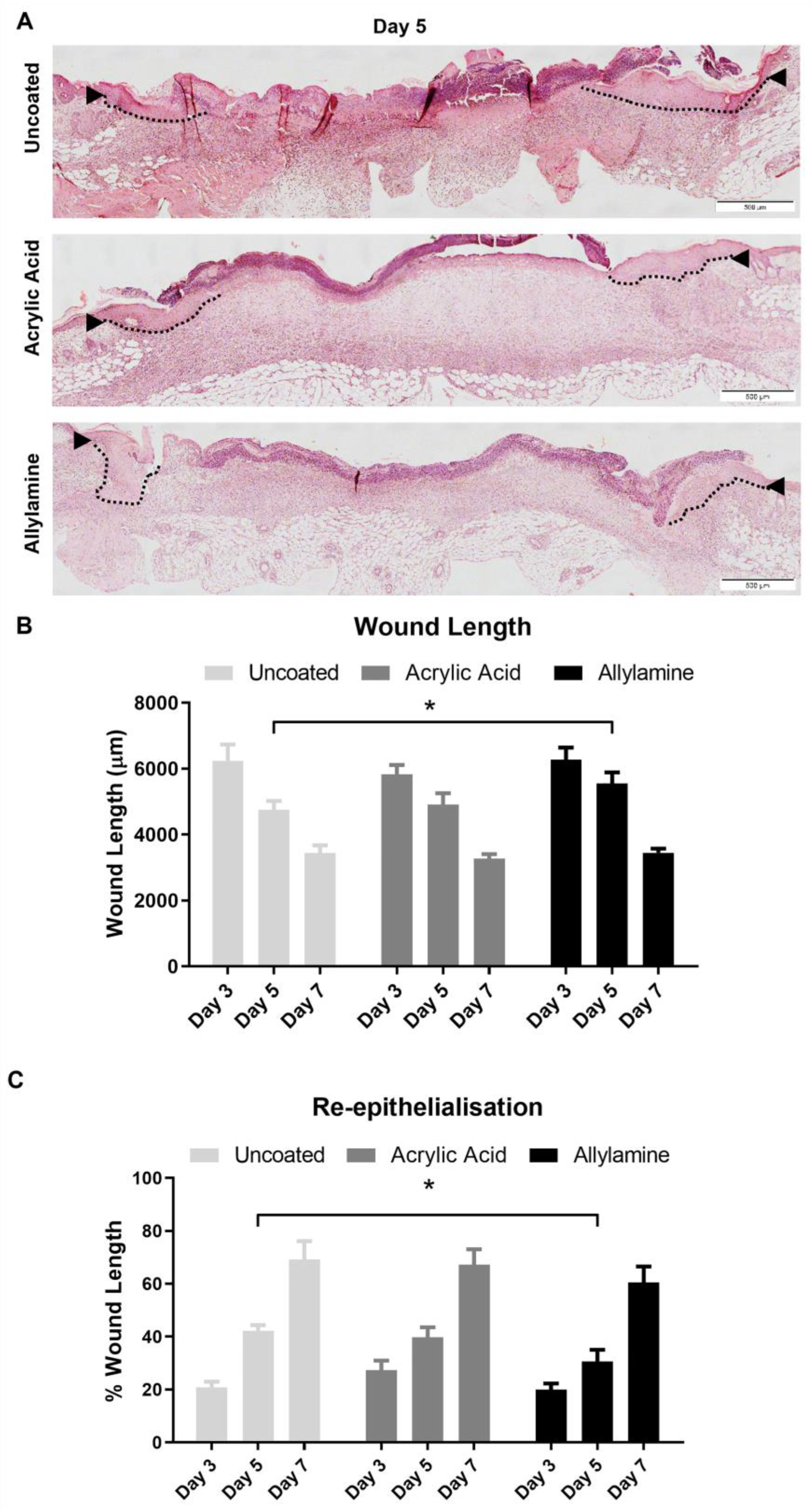 Ijms 24 00797 g003 Ijms 24 00797 g003