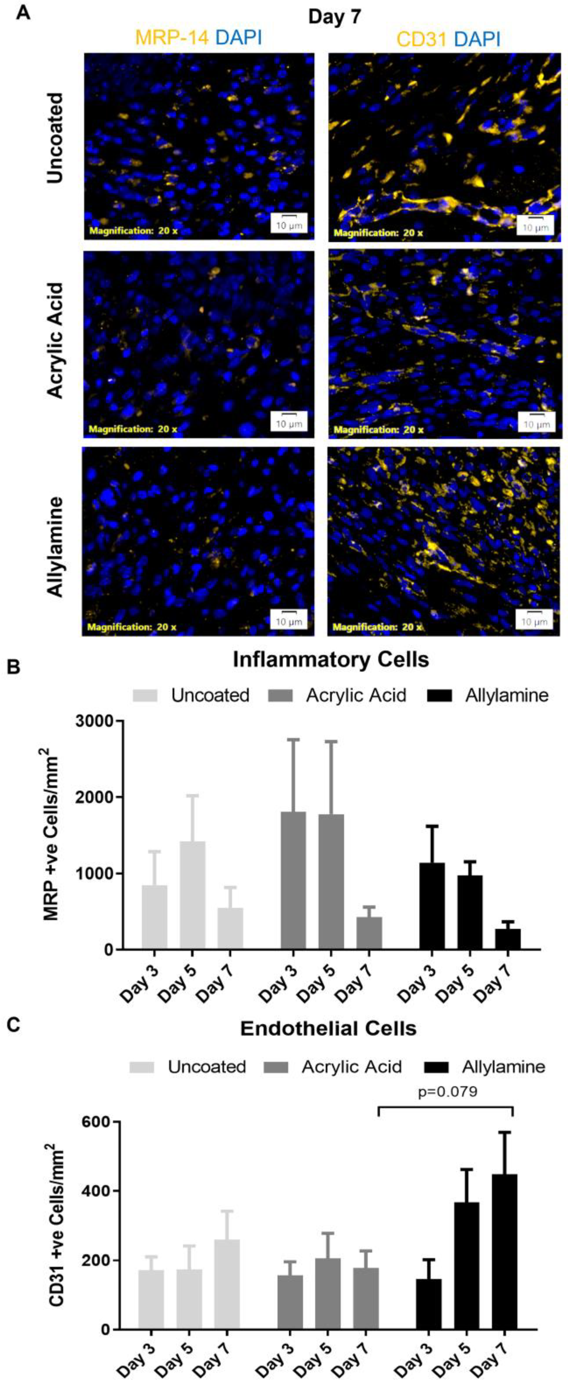 Ijms 24 00797 g005 Ijms 24 00797 g005