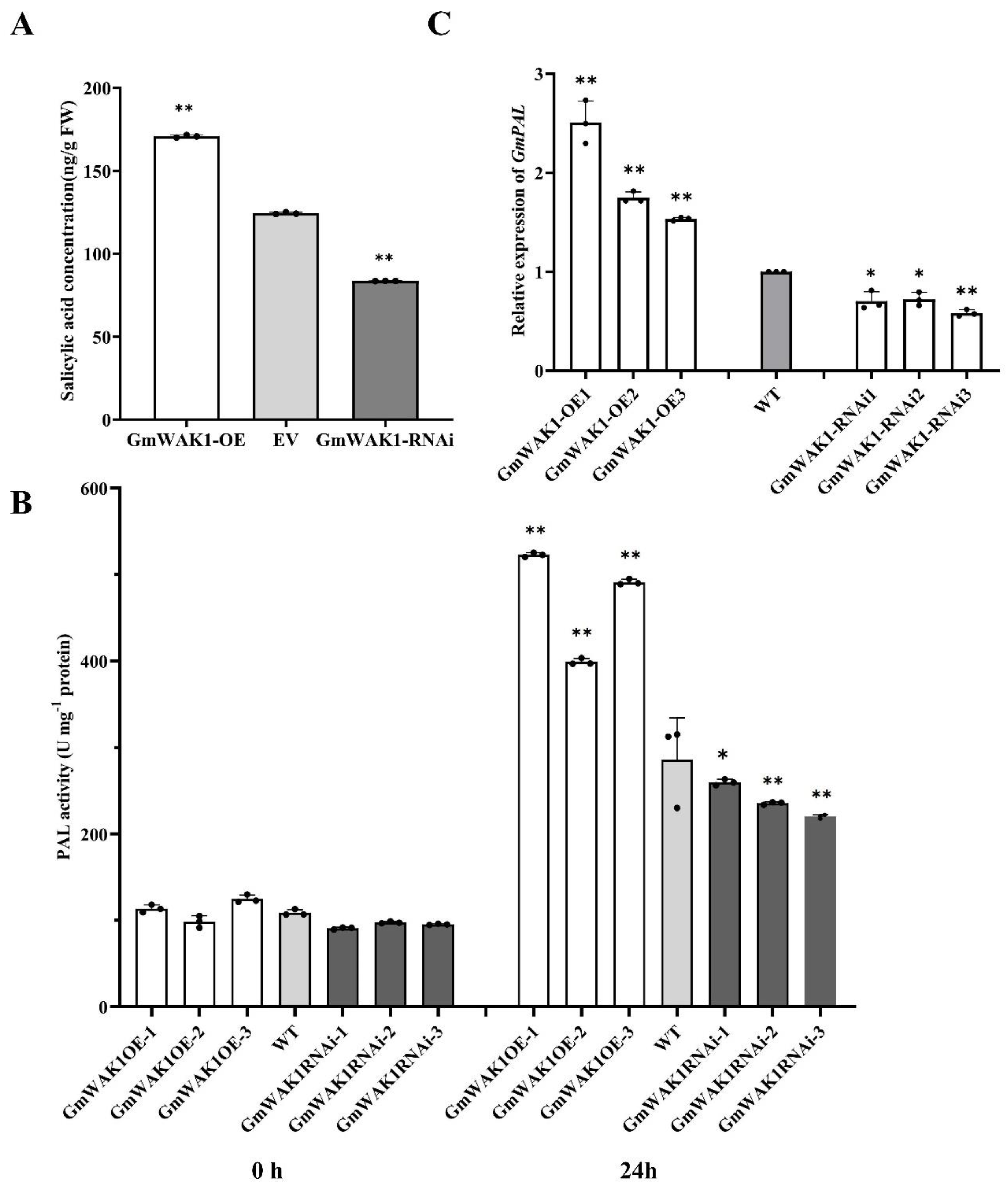 Ijms 24 00798 g004 Ijms 24 00798 g004