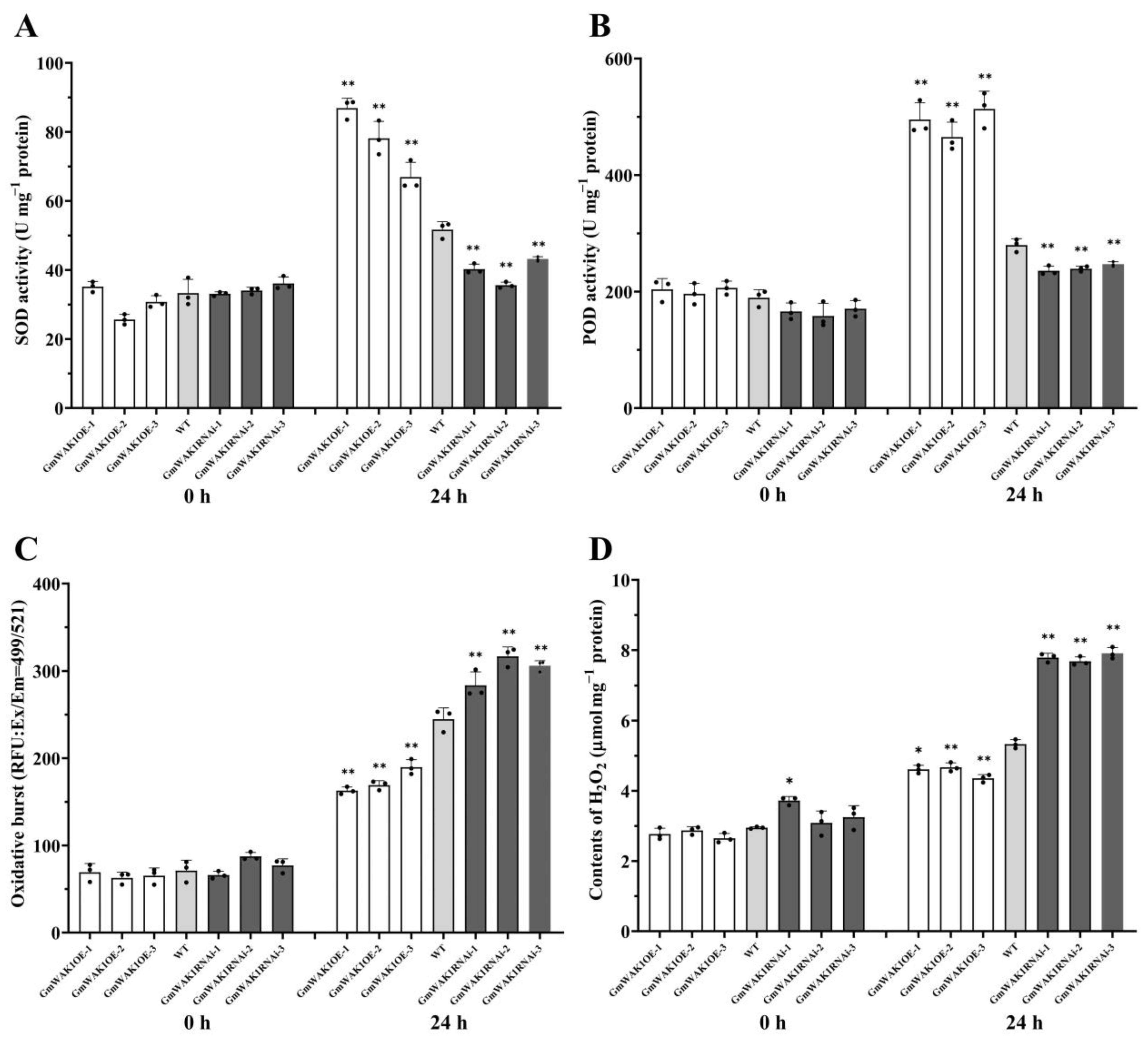 Ijms 24 00798 g005 Ijms 24 00798 g005