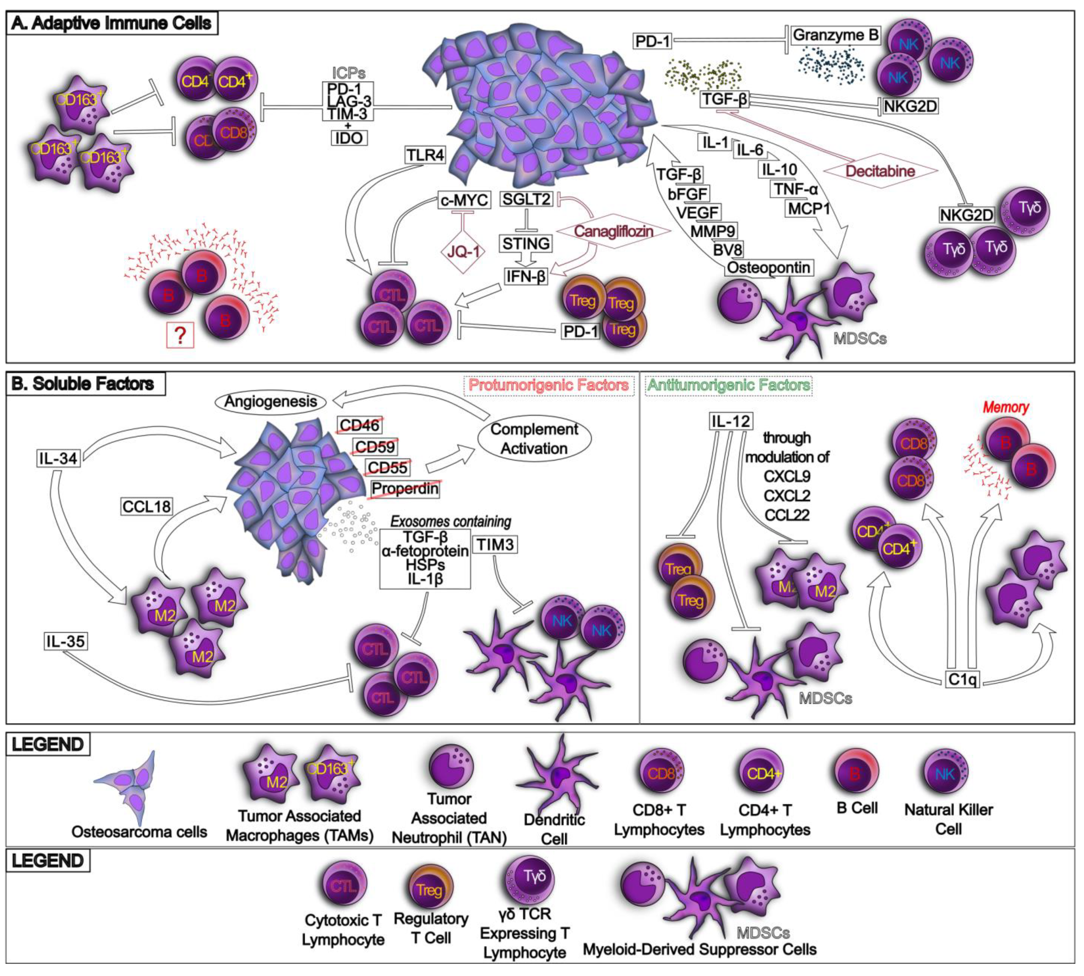 Ijms 24 00799 g002 Ijms 24 00799 g002