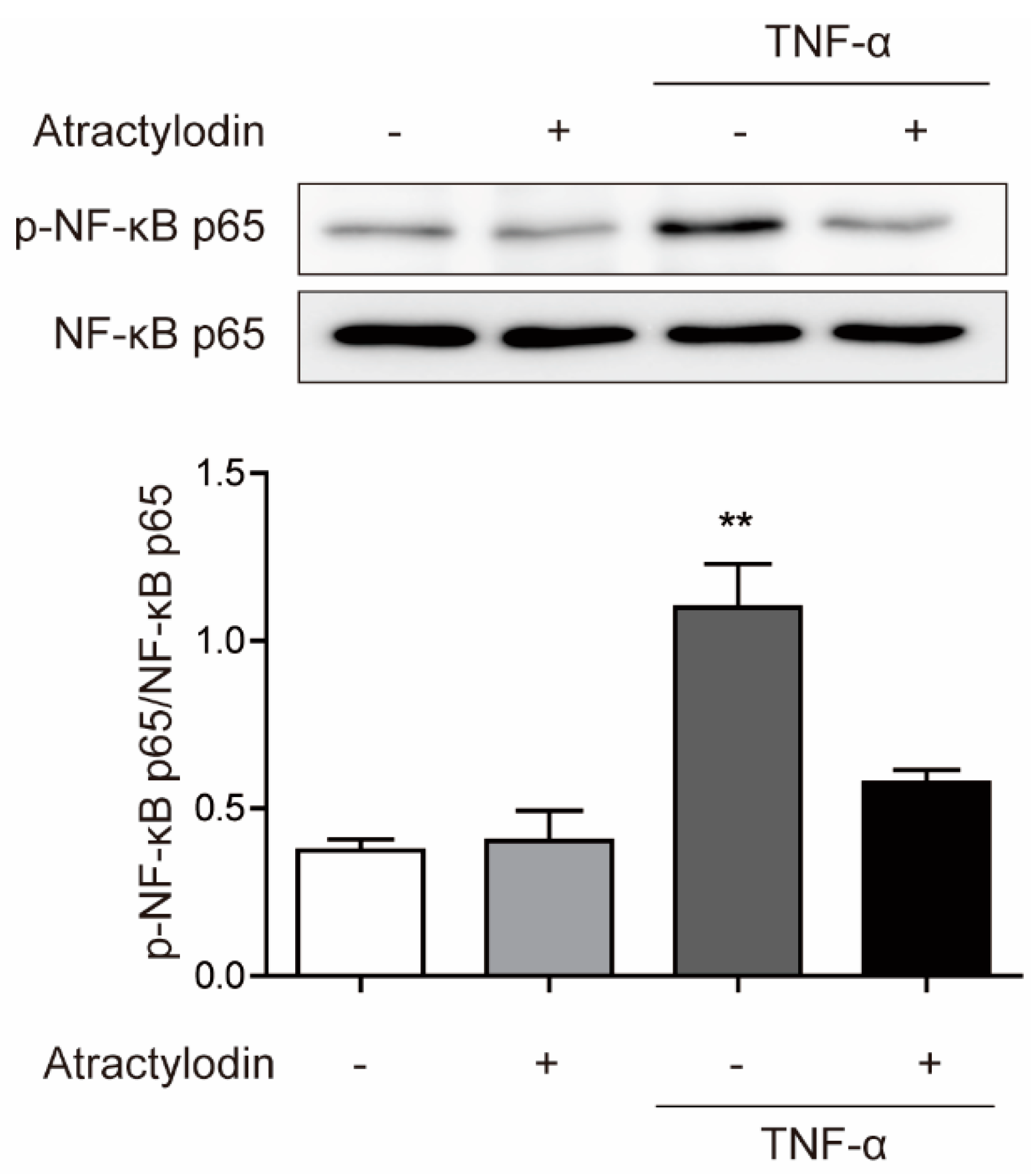 Ijms 24 00802 g002 Ijms 24 00802 g002